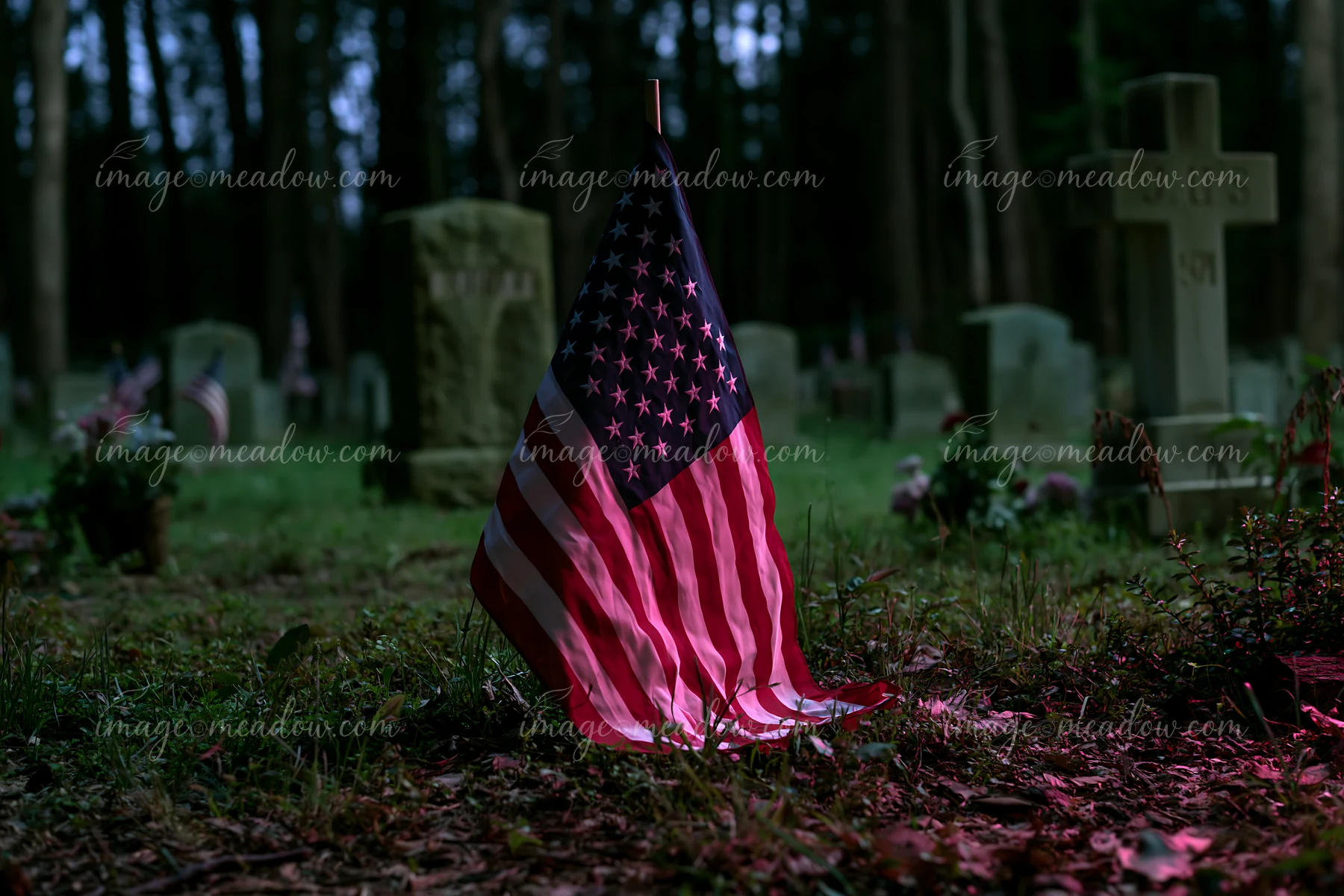 A light illuminates military graves beside a dense forest at night.