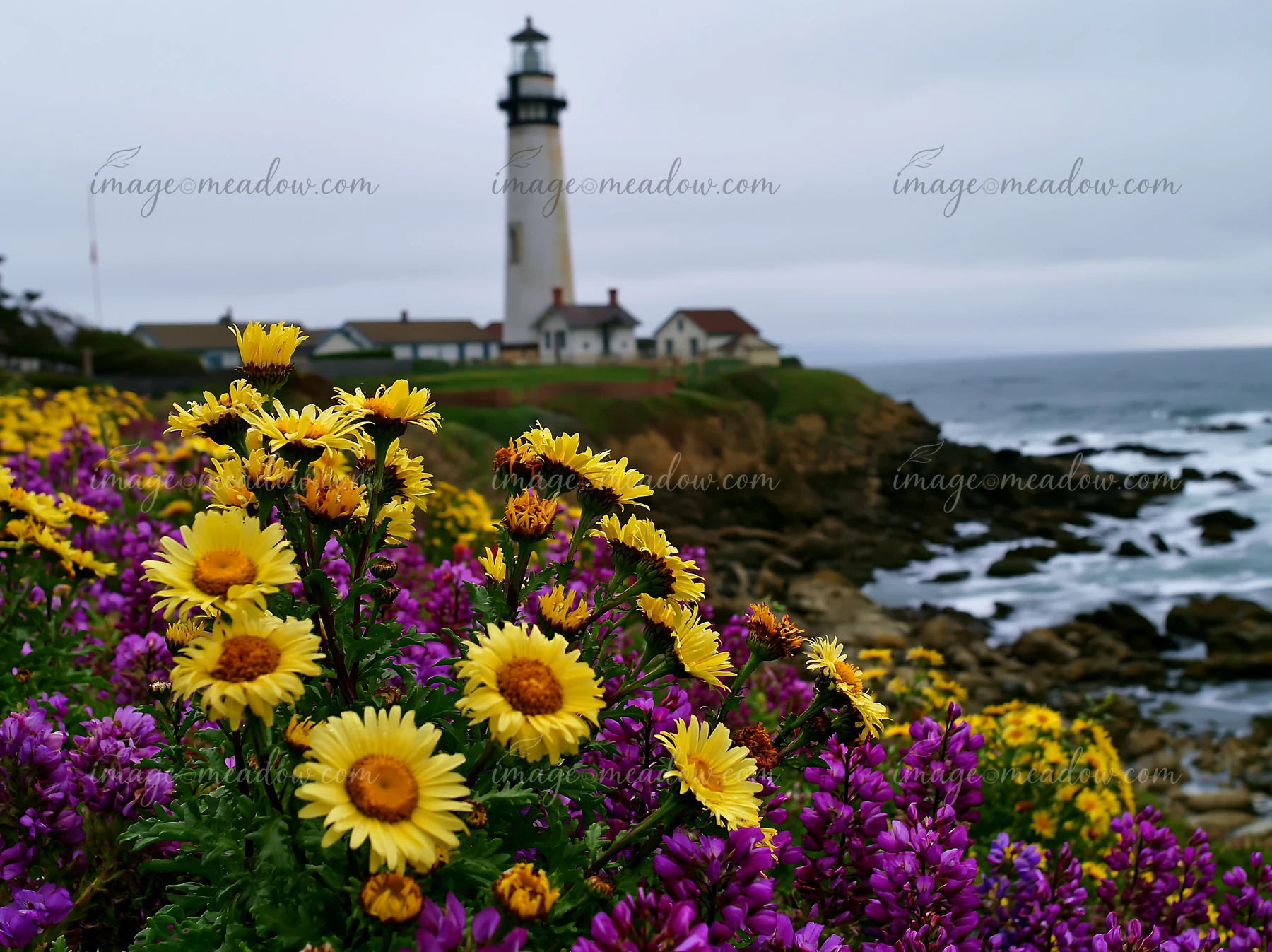 A lighthouse stands on a rocky shore, with bright yellow and purple wildflowers in the foreground.