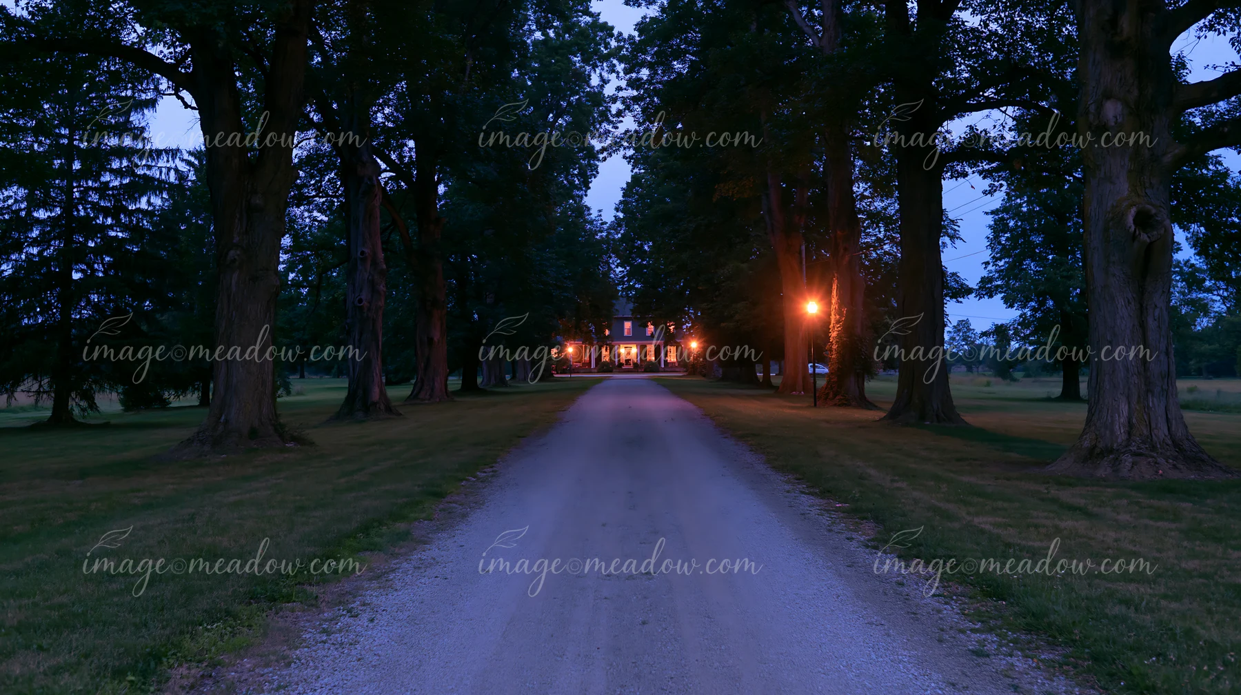 A long gravel driveway leads to a farmhouse, bordered by tall trees, with warm lights glowing from the windows as night falls.