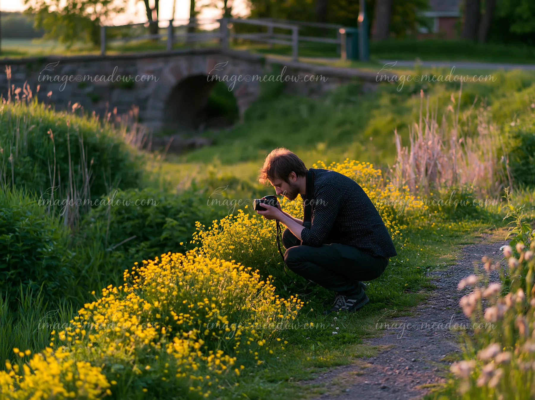 A man photographs bright yellow meadow flowers along a path next to a stream.