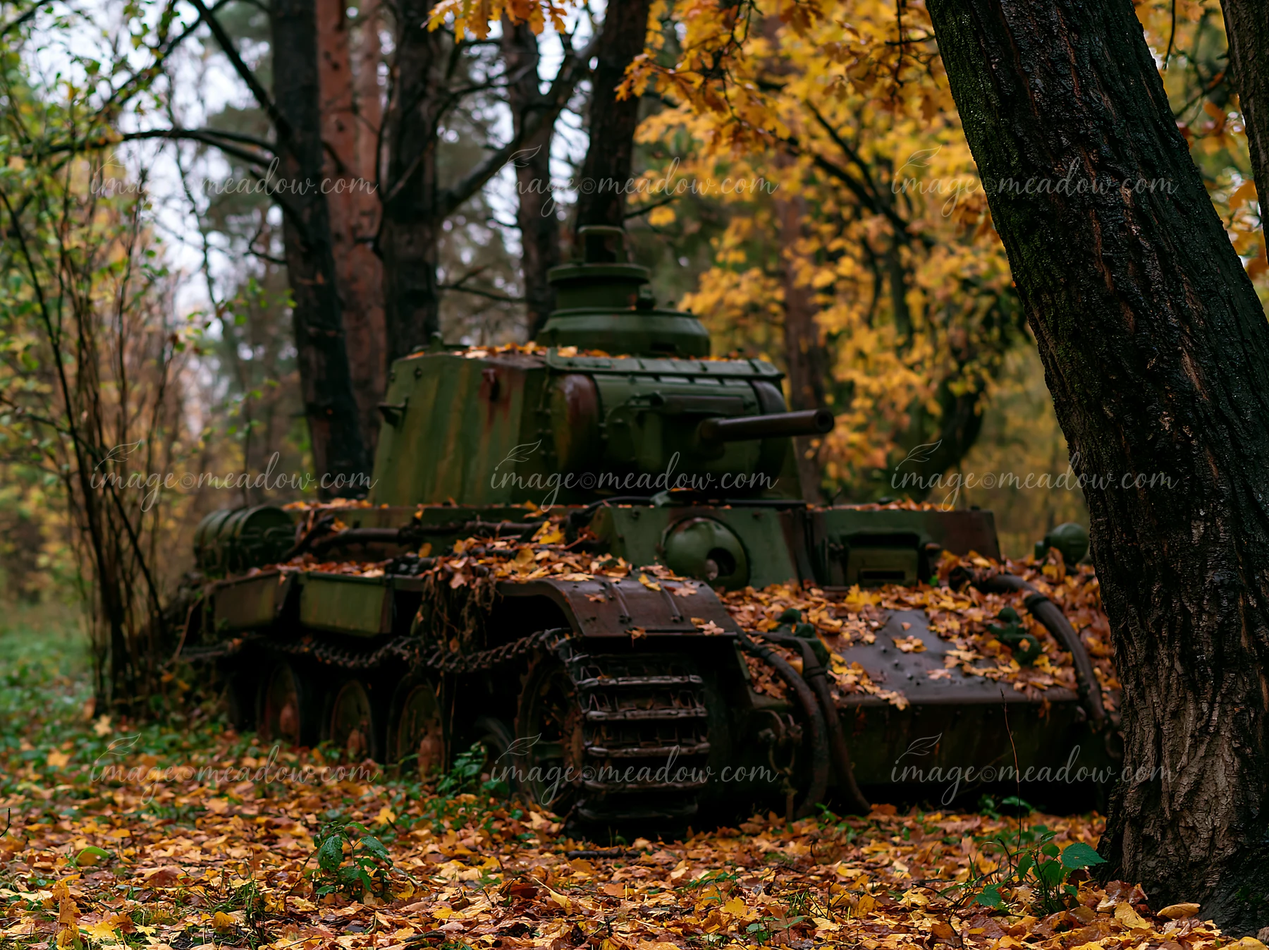 A panzer tank is partially covered by yellow and orange leaves in a dense autumn forest.