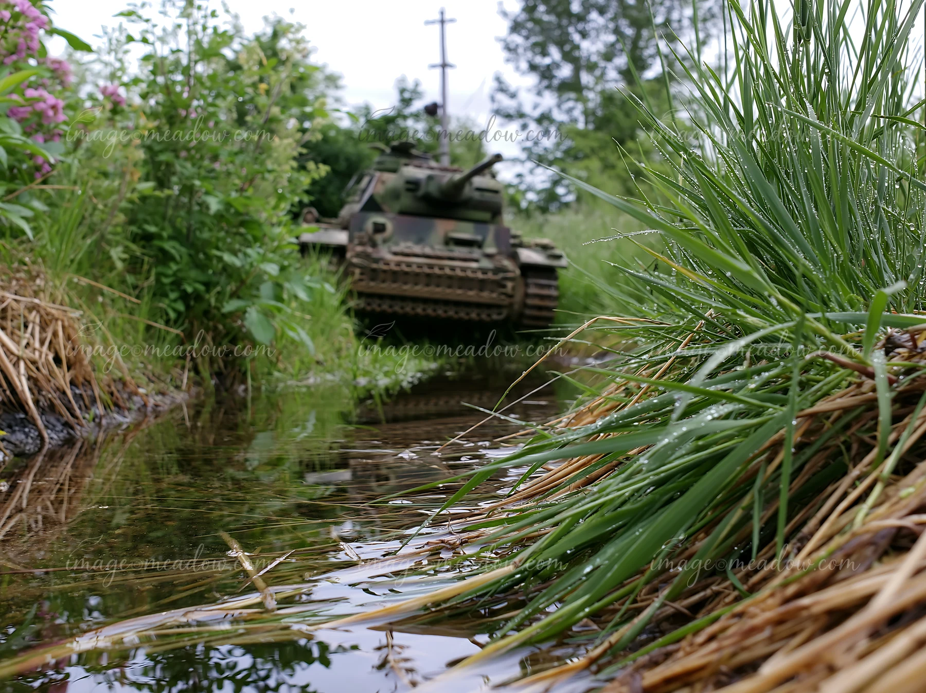 A panzer tank surrounded by grass sits near a small stream.