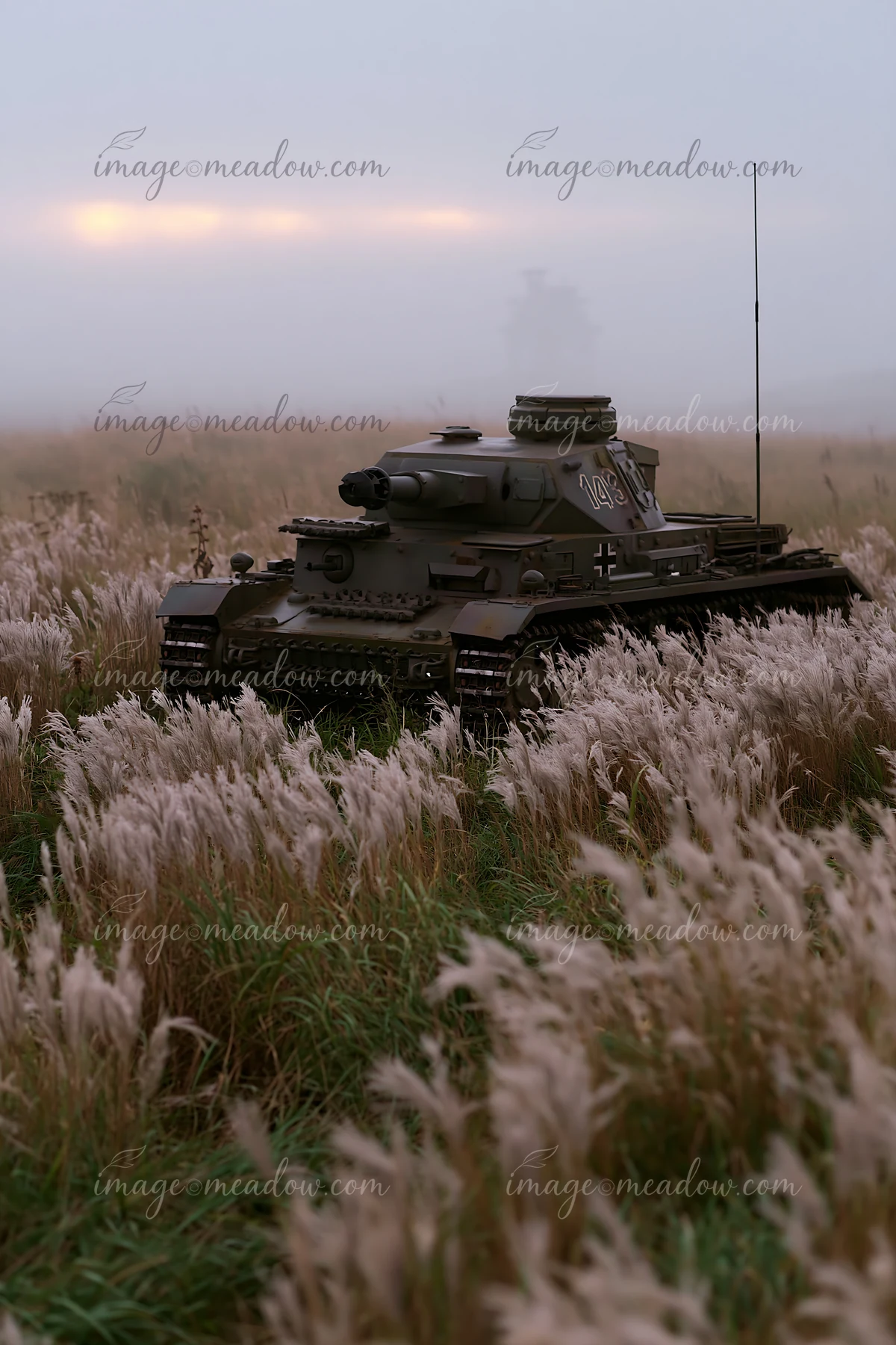 A panzer tank surrounded by grass stands in a field with tall plants and mist in the background.