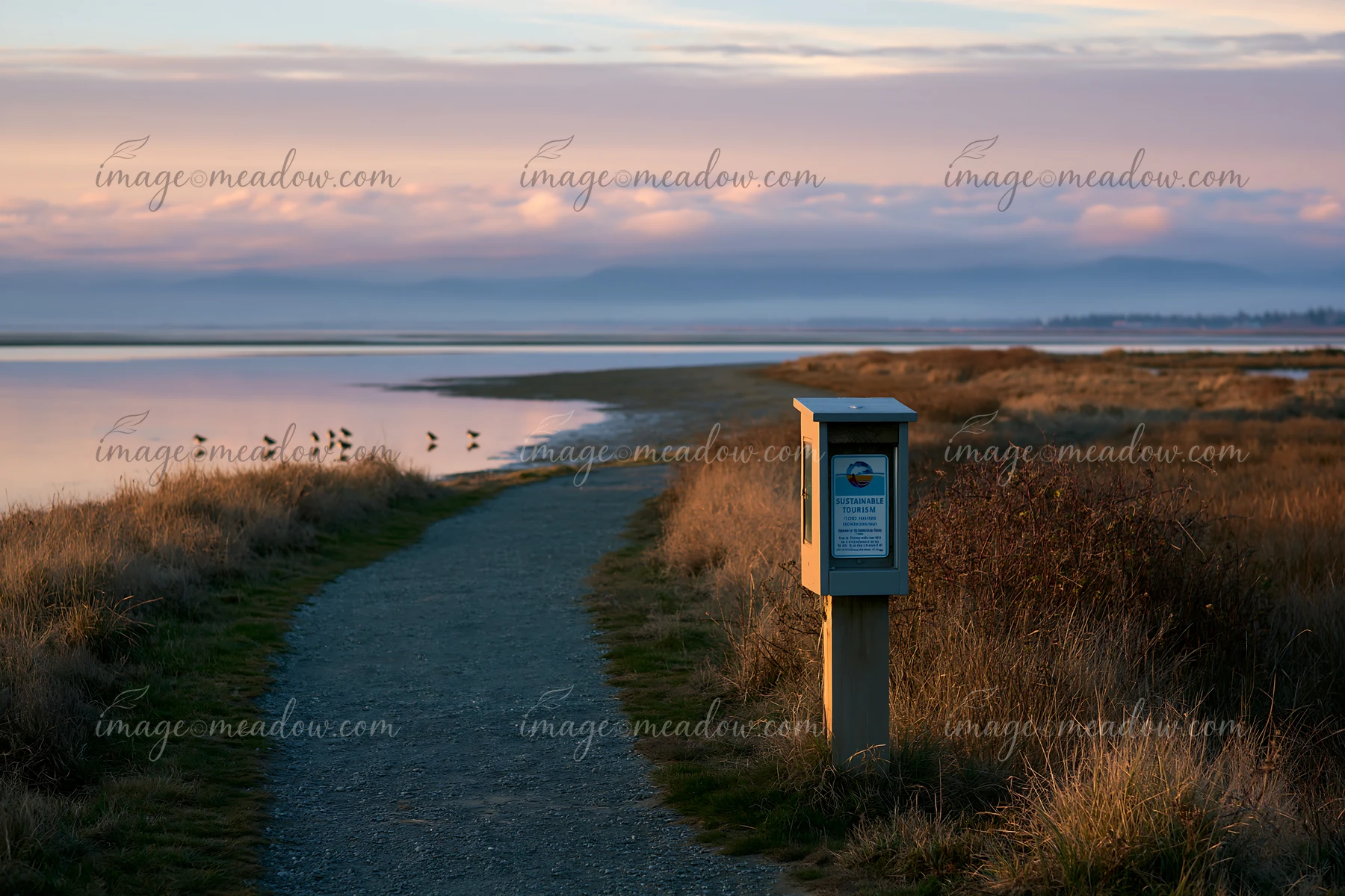 A path runs along a coastline with a sustainable tourism sign, while several birds gather nearby.