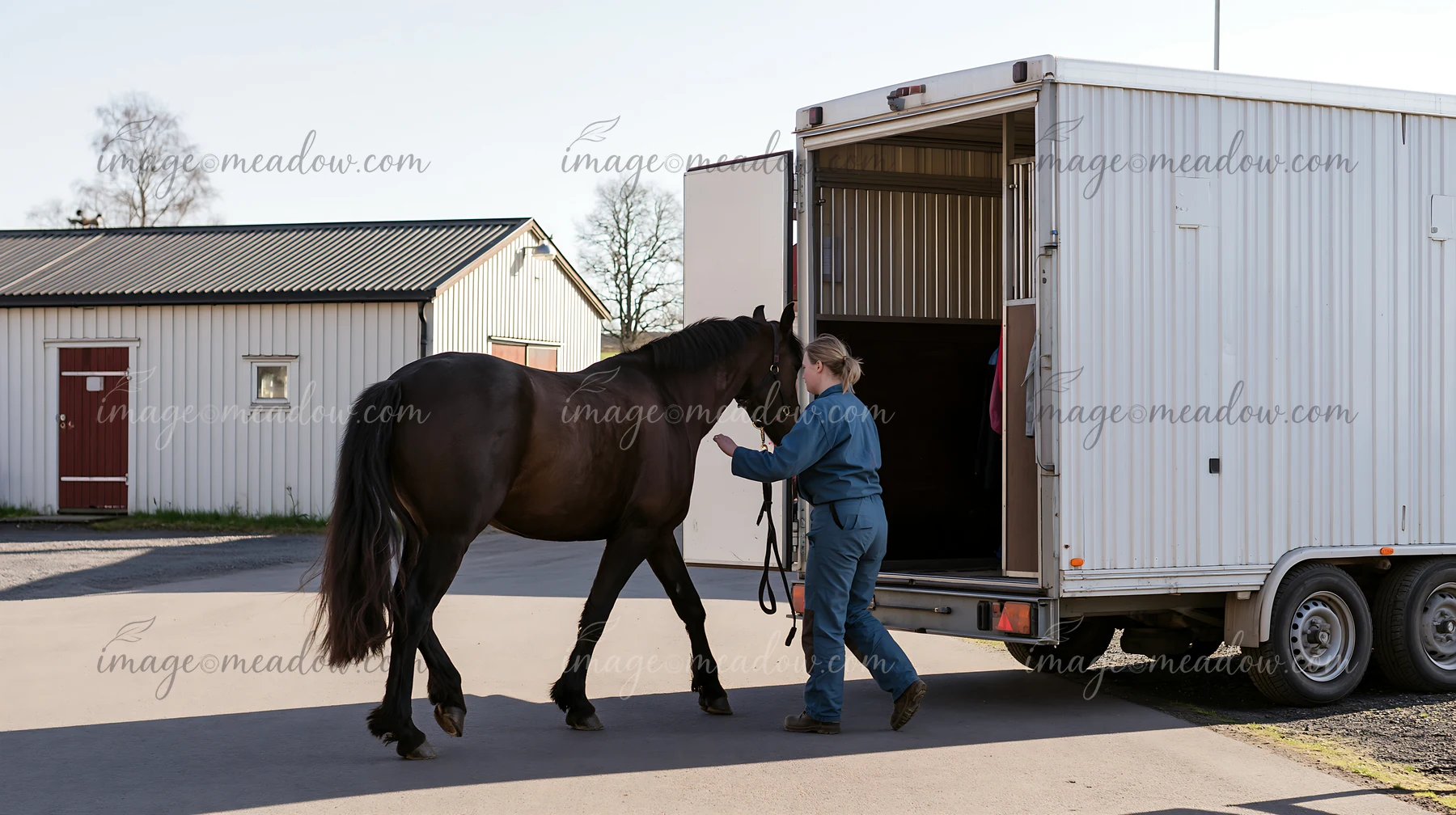 A person guides a horse into a transport trailer at a stable.