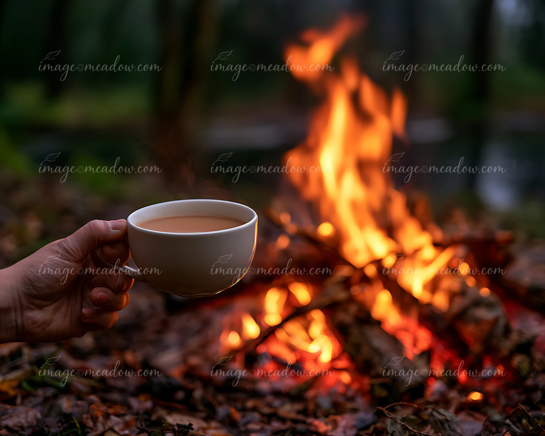A person holds a white cup filled with a warm drink while sitting beside a glowing campfire surrounded by fallen leaves in a forest setting.