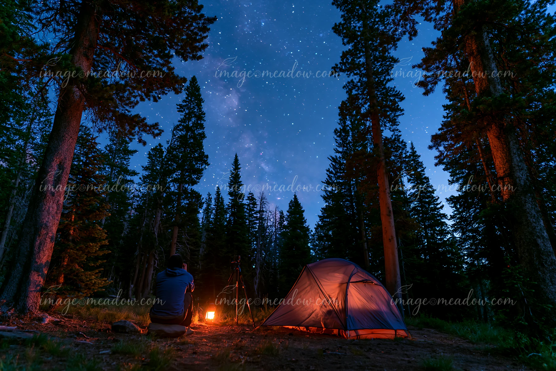 A person photographing stars at night sits near a campfire in a forest clearing.