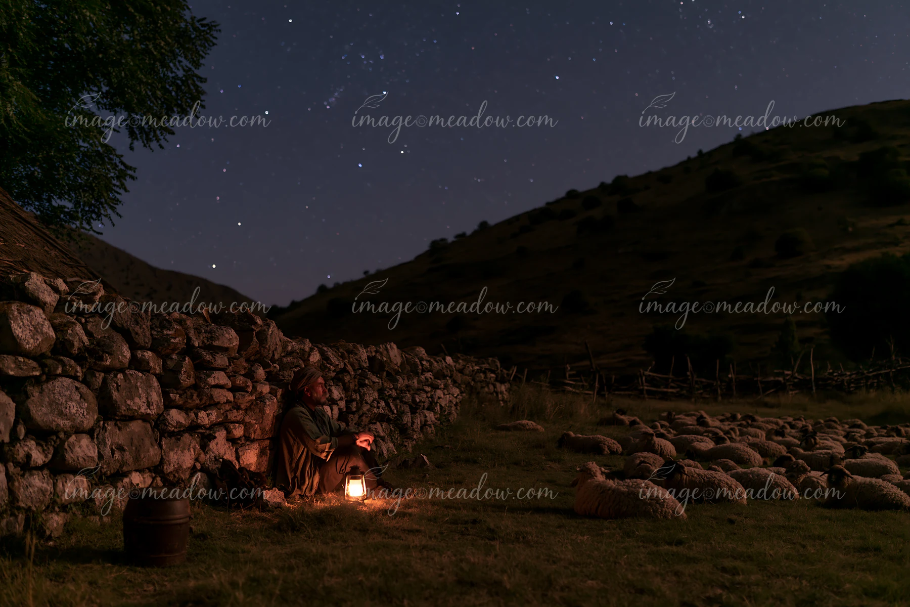 A person sits by a stone wall in a rural area at night, gazing up at a starry sky while surrounded by sheep.