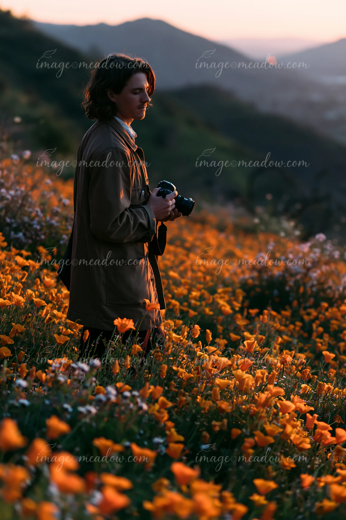 A person stands among vibrant flowers in a meadow while taking photographs during sunset.