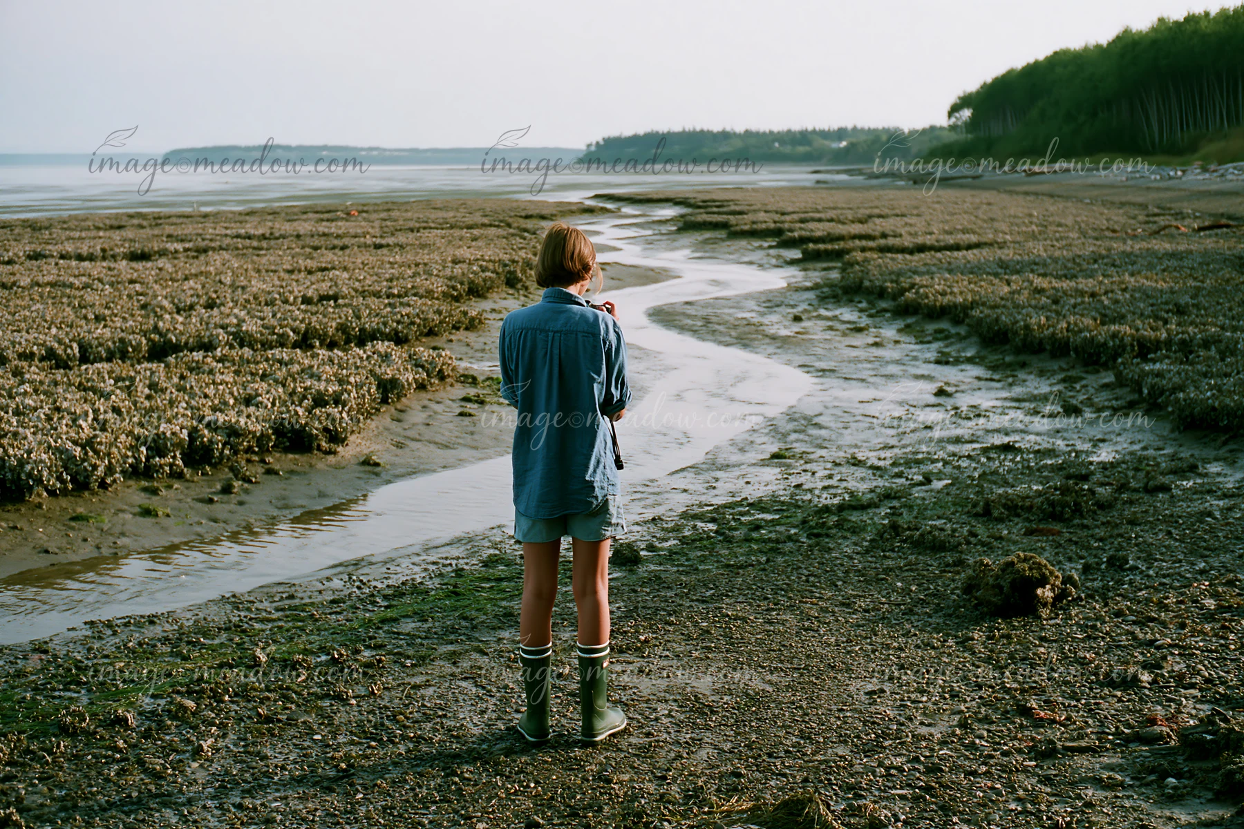 A person stands on a rocky shoreline at low tide, observing the oyster beds.