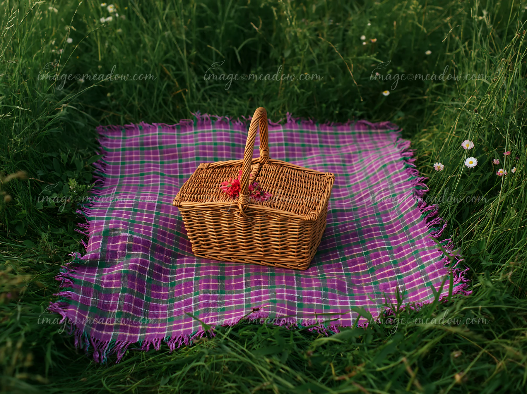 A picnic basket sits on a purple checkered blanket in a meadow viewed from above.