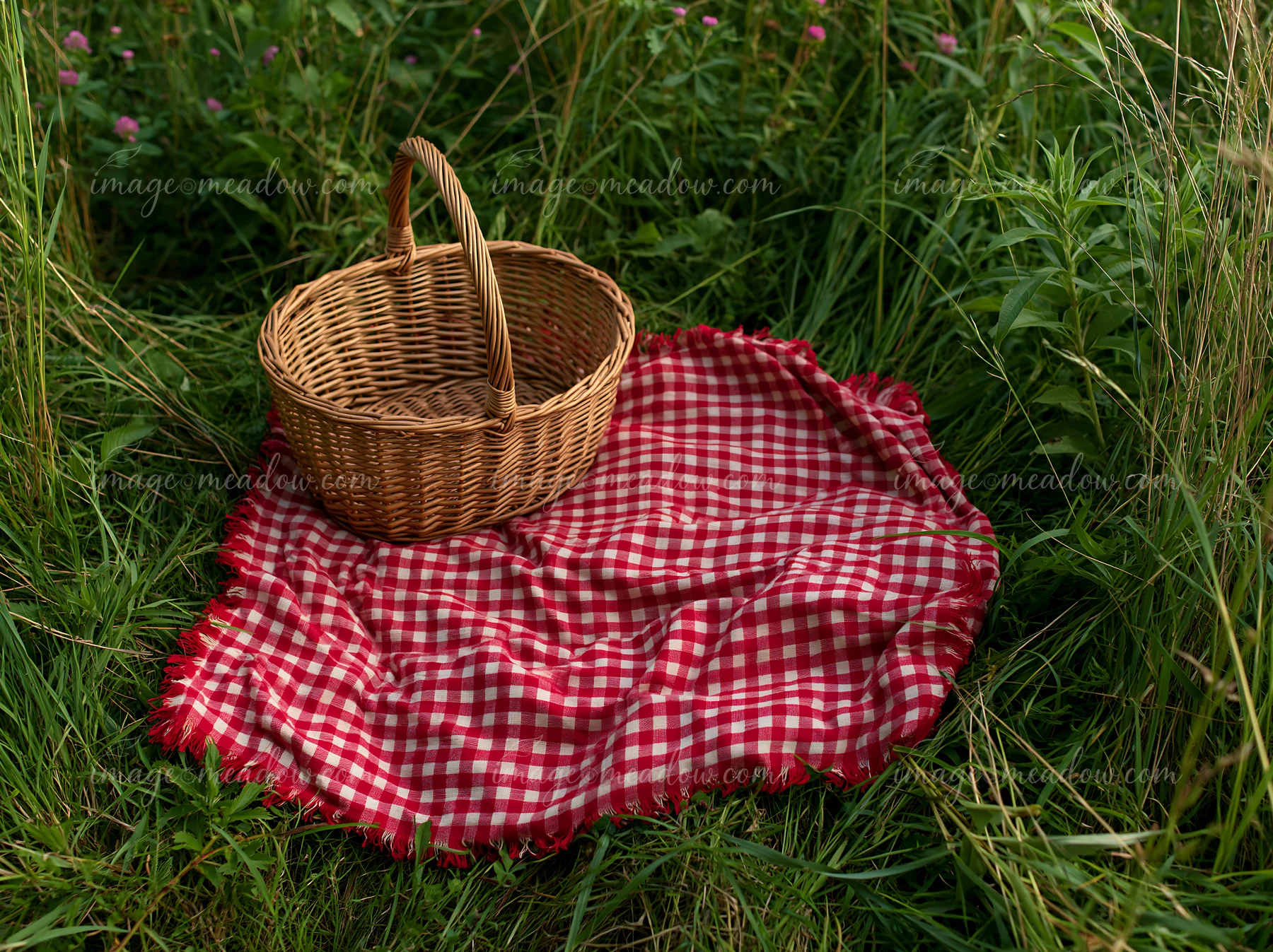 A picnic blanket lies on grass in a meadow, beside a woven basket.