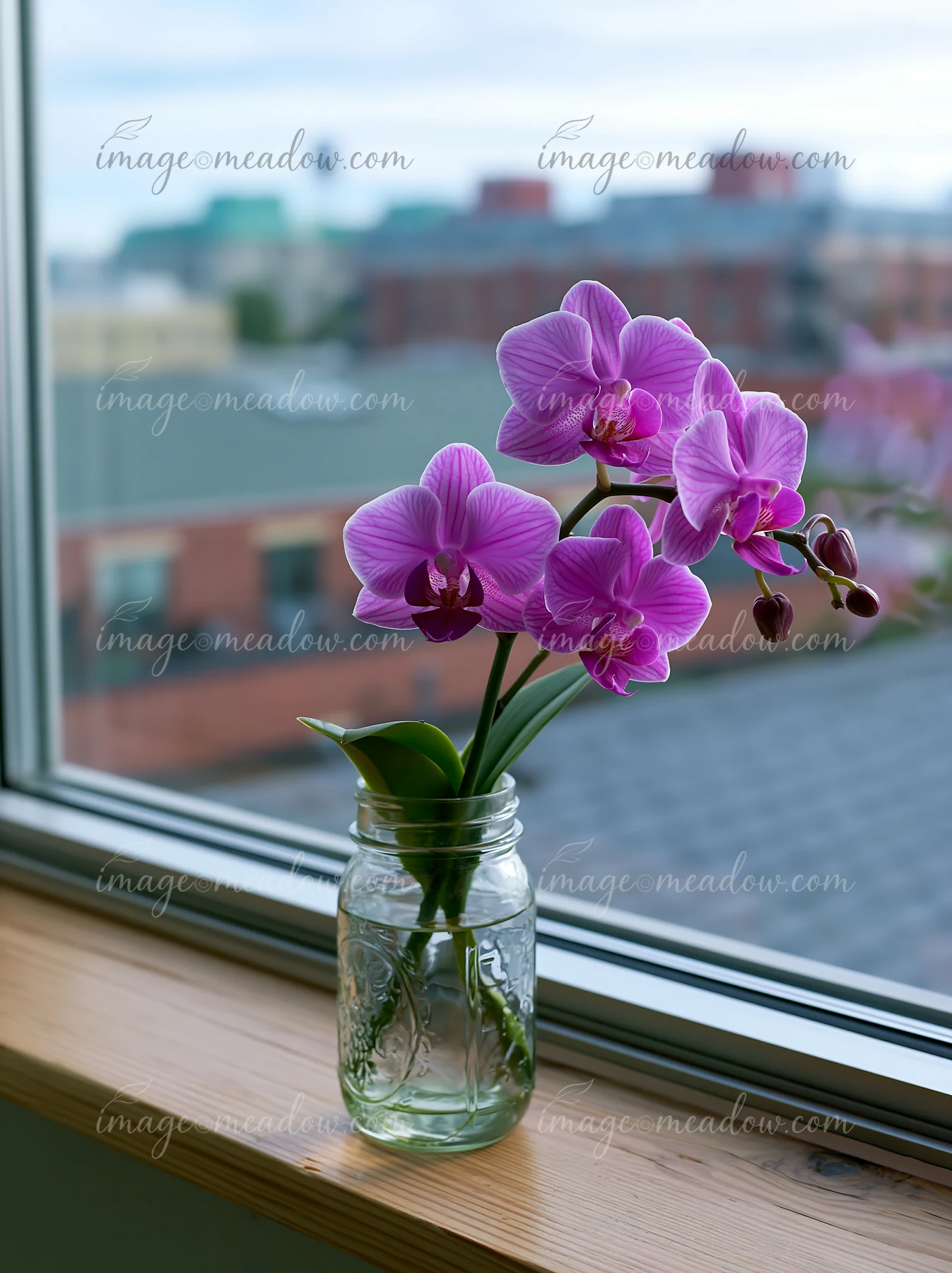 A purple orchid flower is placed in a glass jar on a wooden windowsill.