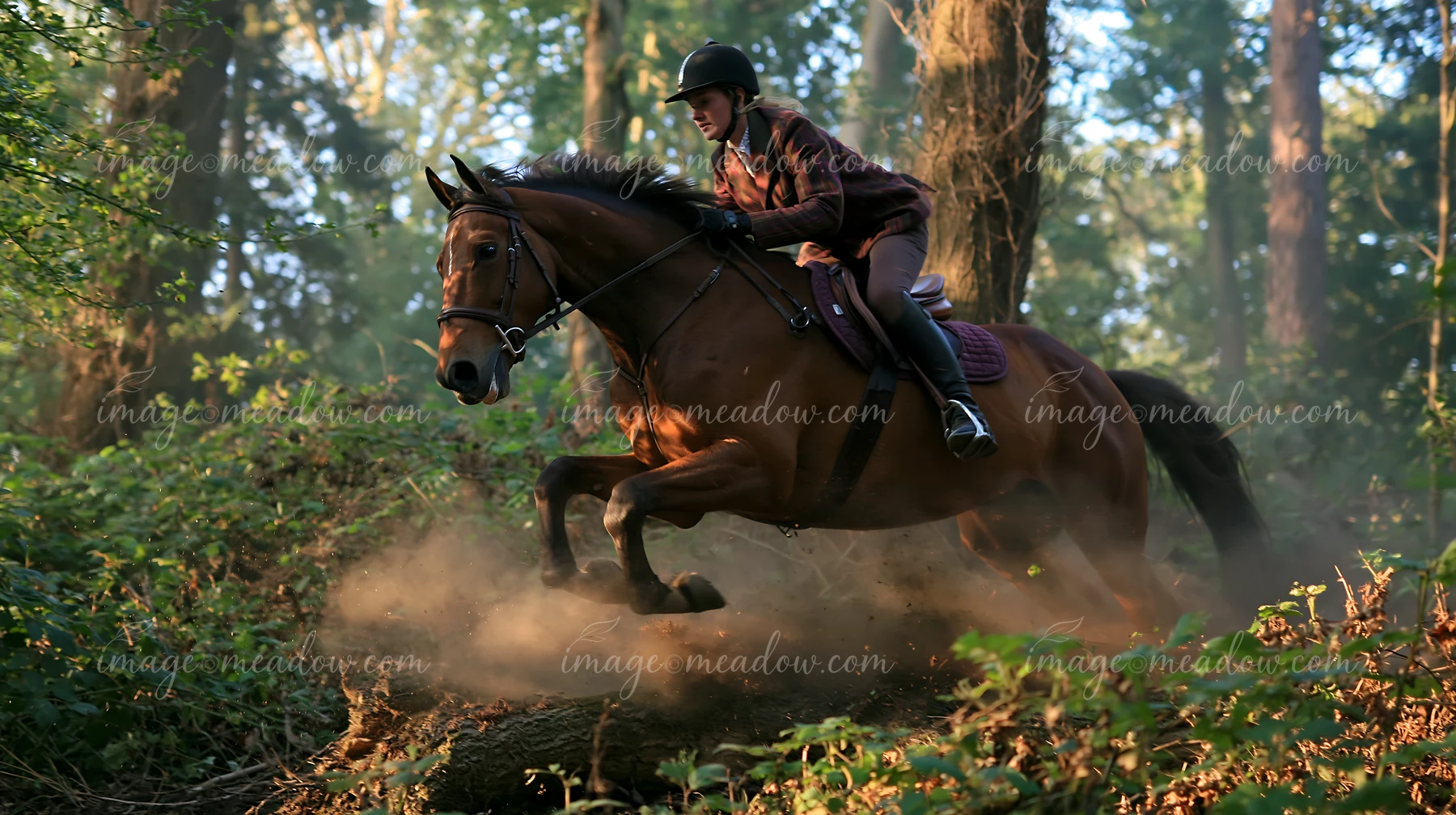 A rider and a horse are seen jumping over a log in a wooded area.