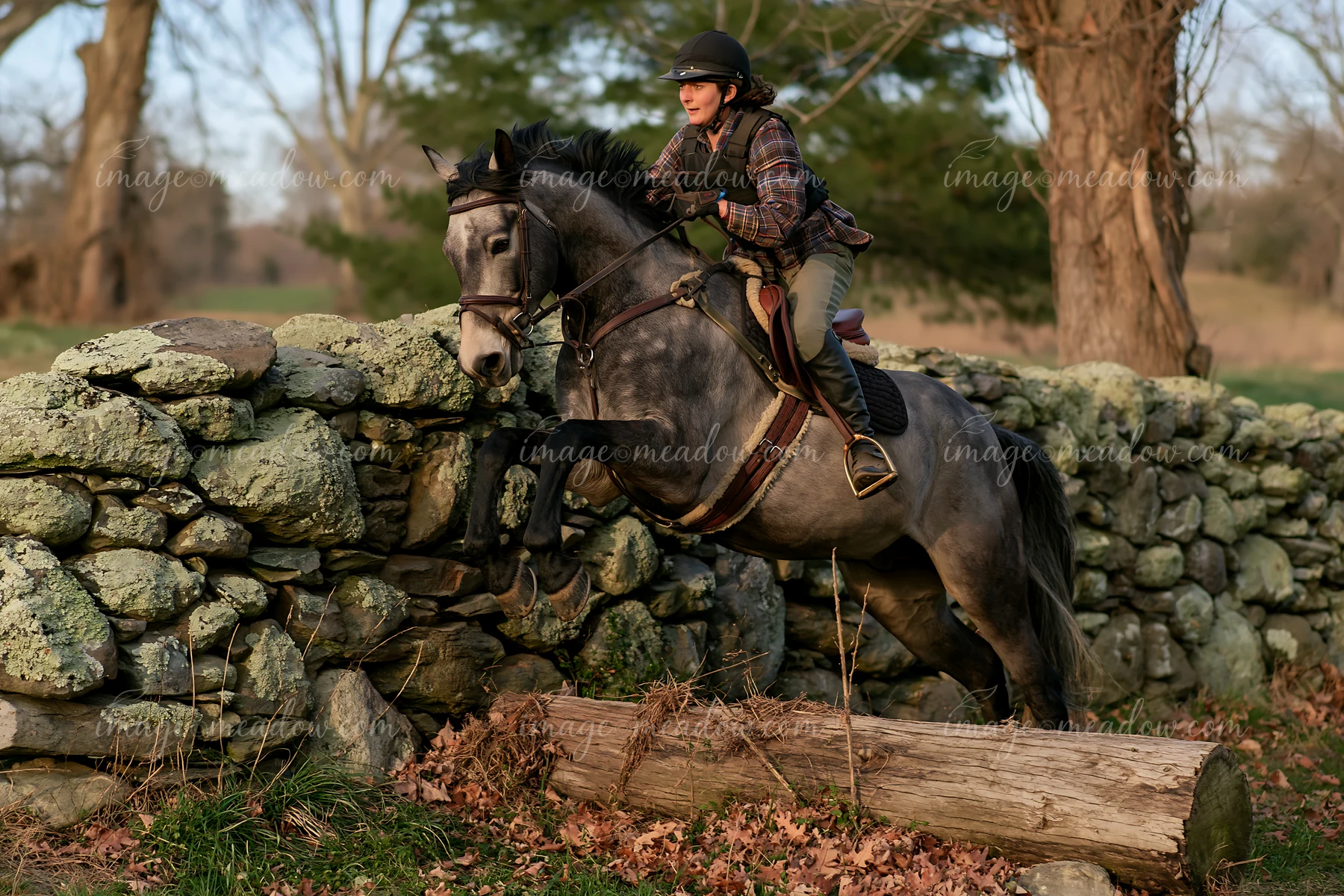A rider leads a gray horse over a log while navigating a stone wall in an outdoor setting.