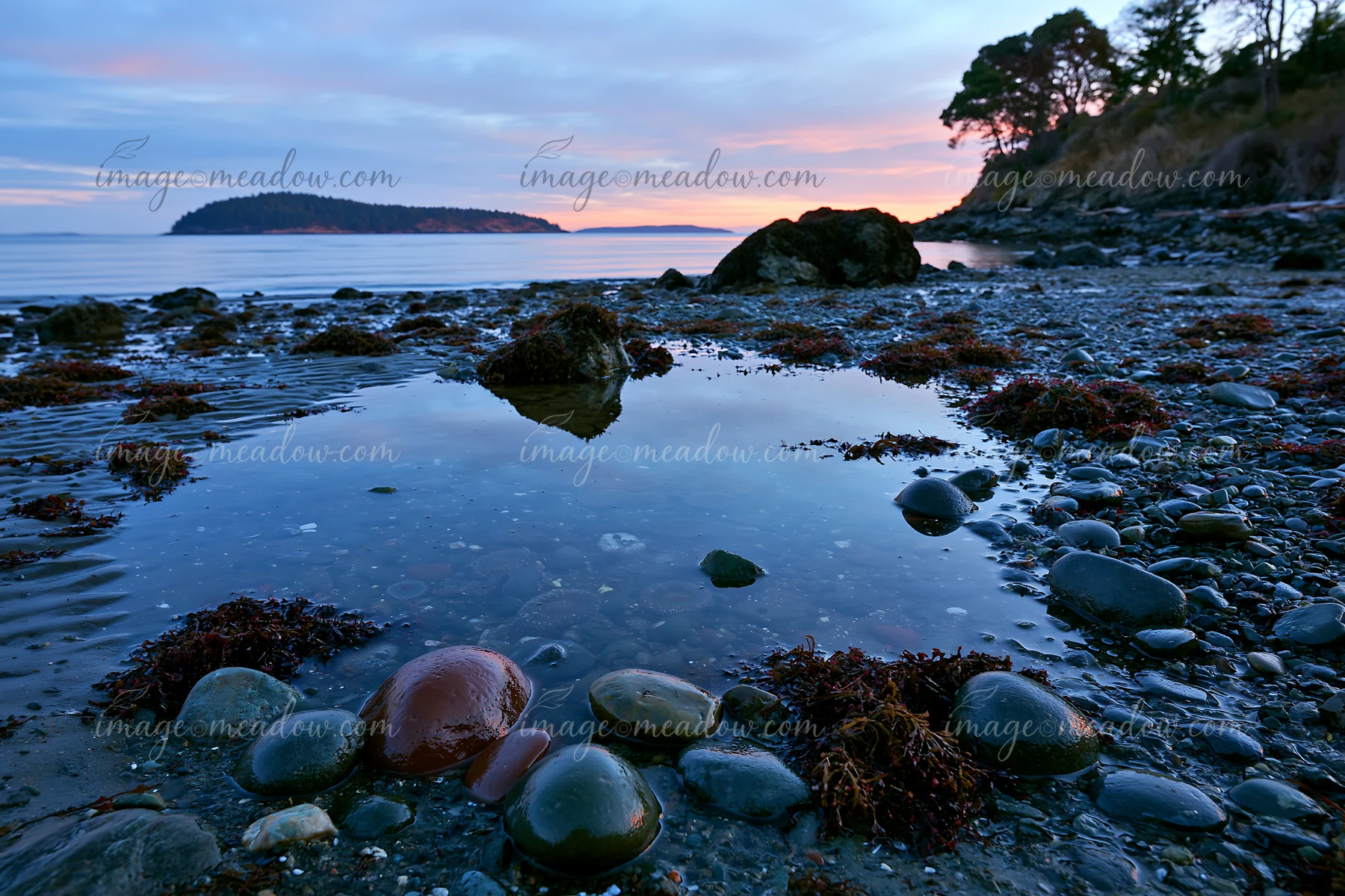 A rocky coastline features dark stones and tide pools that reflect the sky.