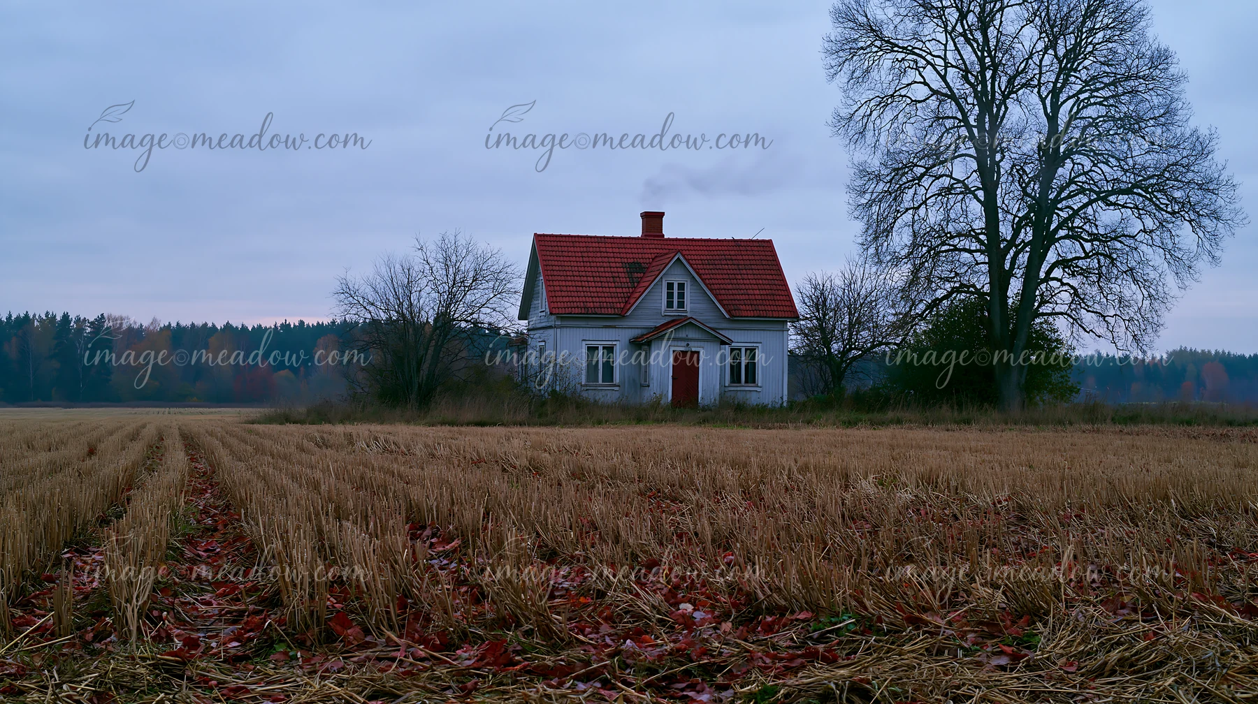 A rural cottage with chimney smoke stands alone in a field.