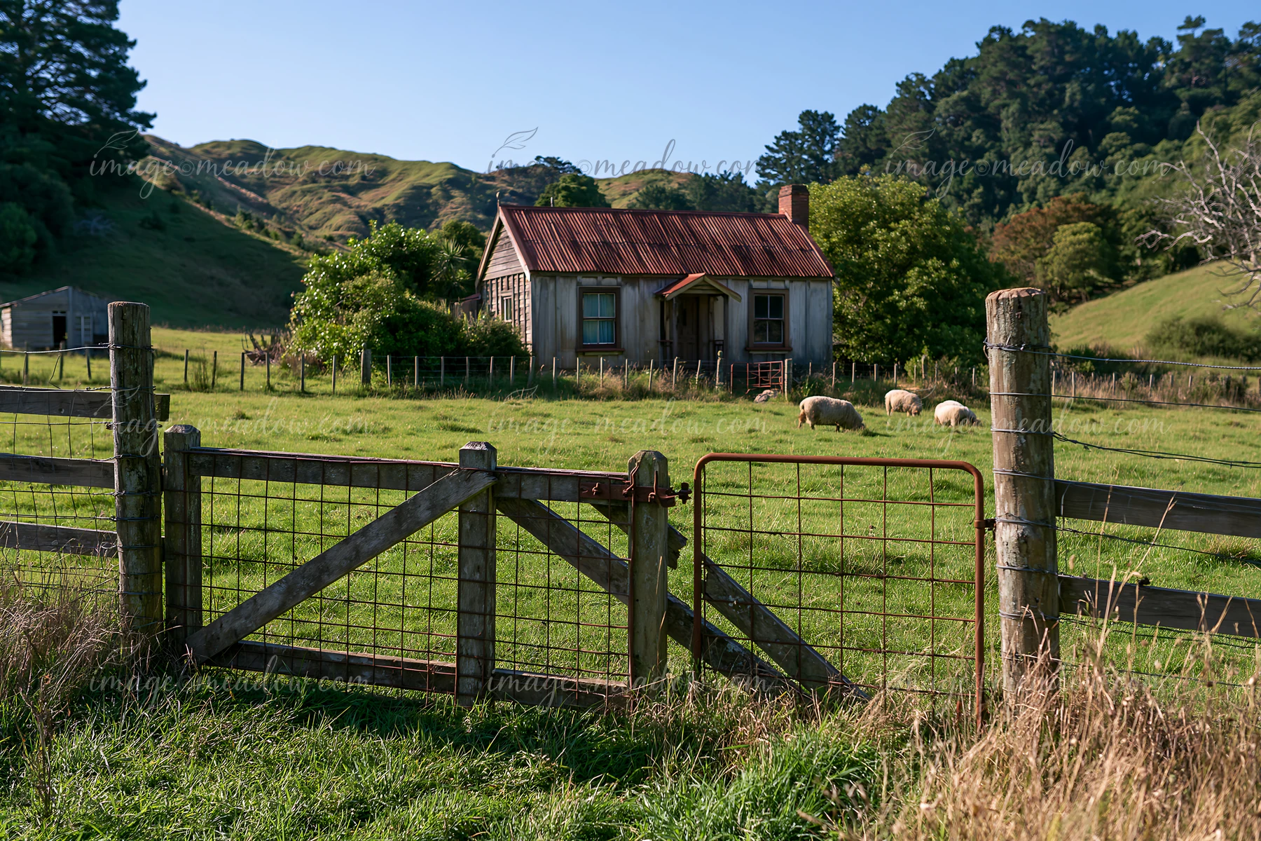 A rustic cottage stands in a lush pasture with grazing sheep.