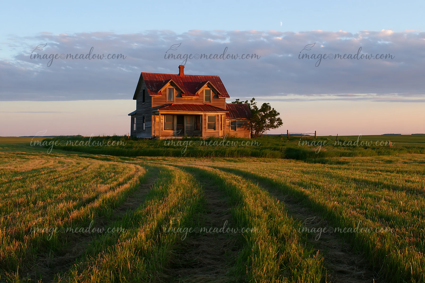 A rustic farmhouse stands in golden light, surrounded by open fields and gentle hills.