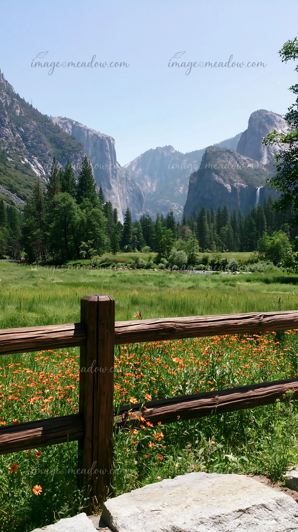 A rustic wooden bridge railing overlooks a flowering meadow with orange blooms and mountains in the distance.