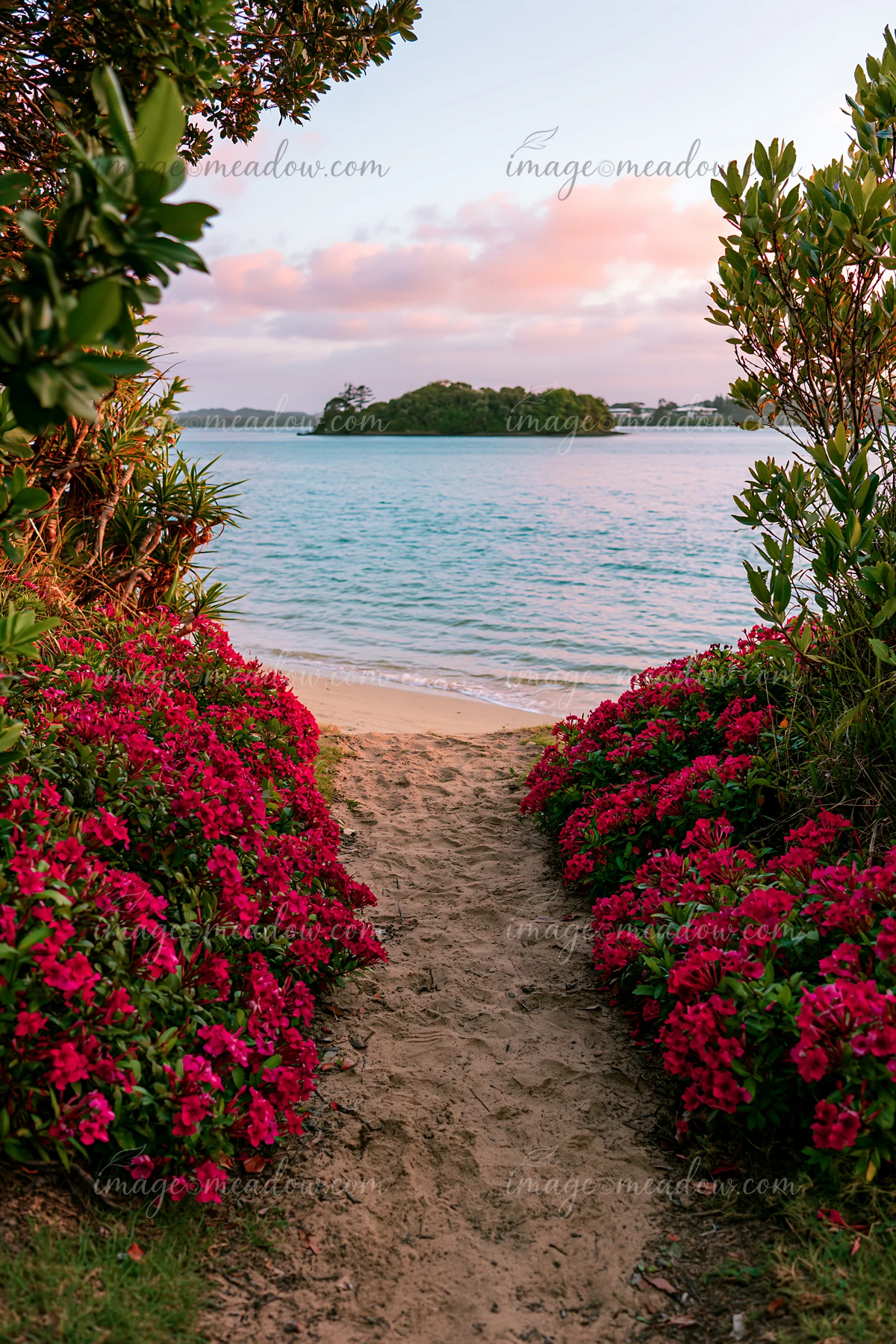 A sandy path lined with bright flowers leads to a tropical lagoon featuring a small island.