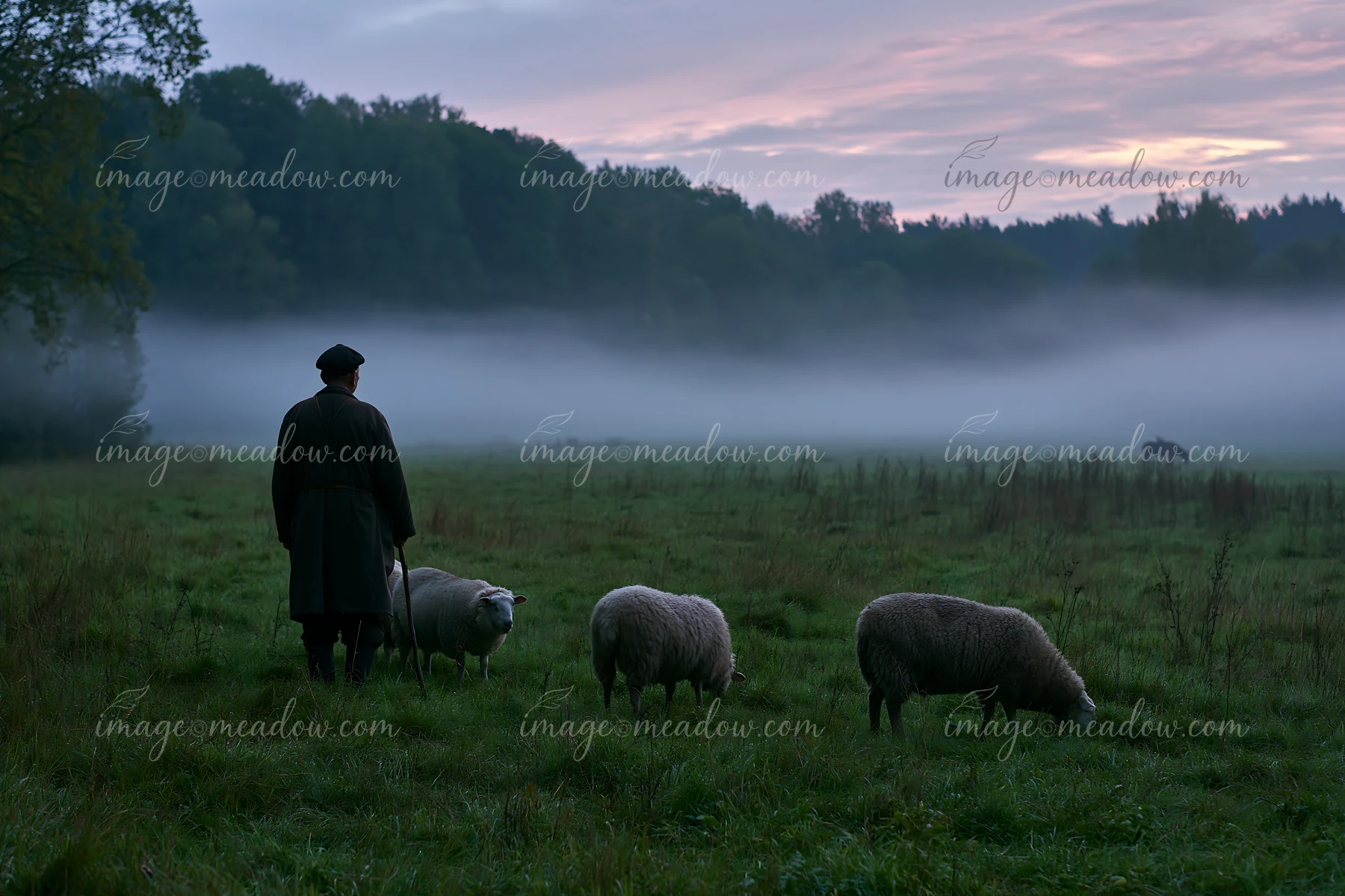 A shepherd stands in a meadow at dawn as fog drifts across the grass, while a few sheep graze nearby.