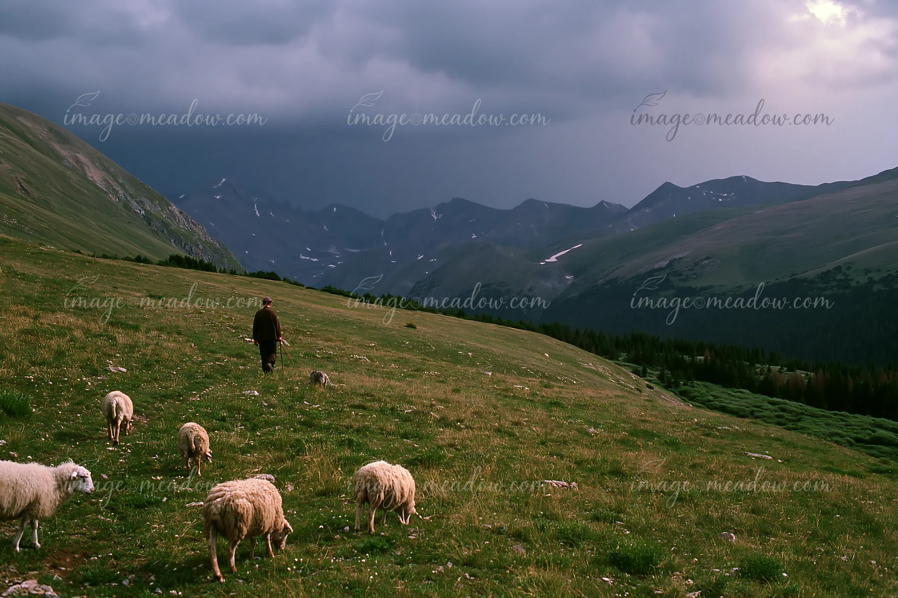A shepherd walks through a grassy field as dark thunderstorm clouds gather over a mountain range in the background.