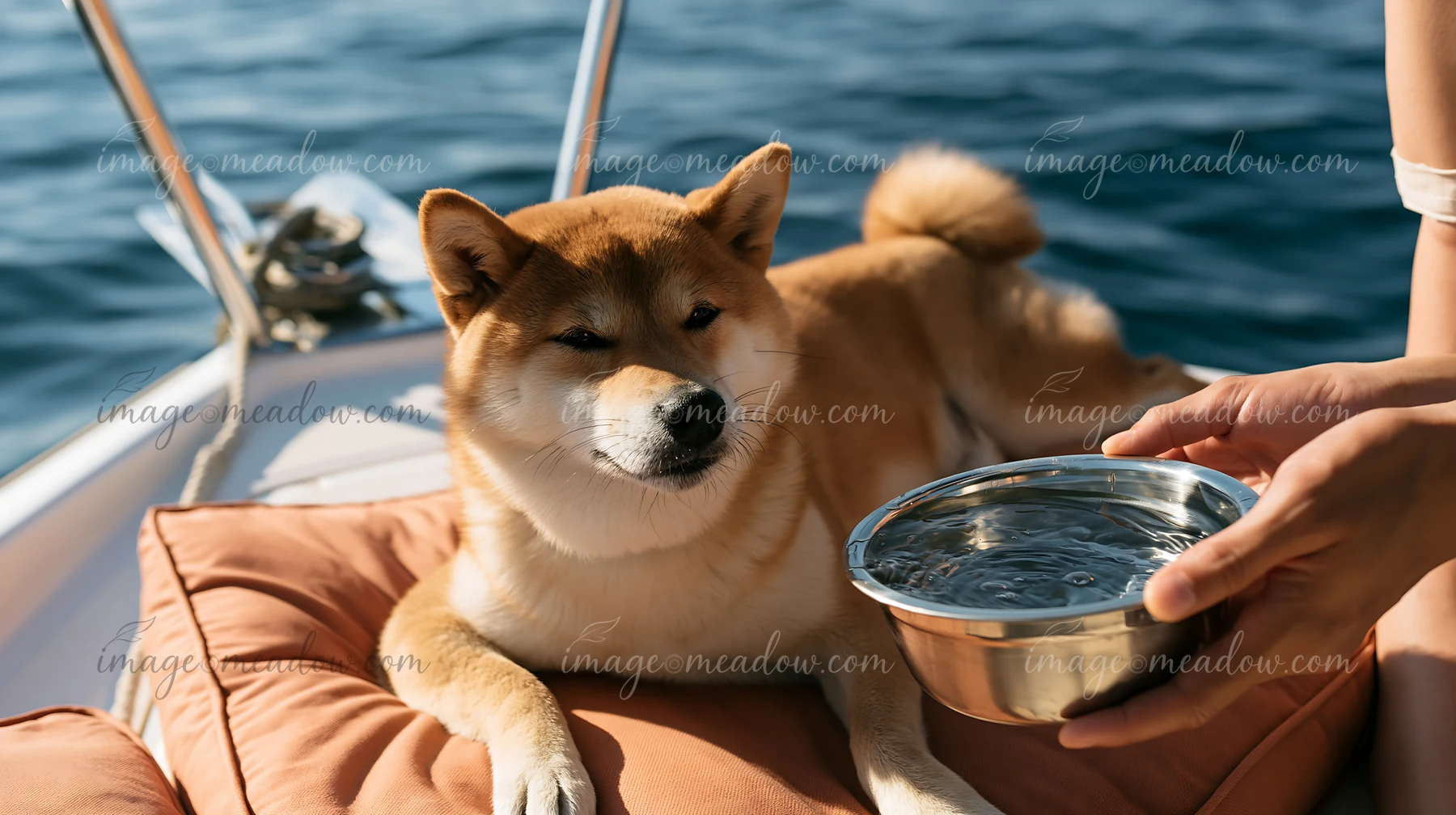 A shiba inu is resting on a cushion on a yacht while a person holds a metal bowl of water.