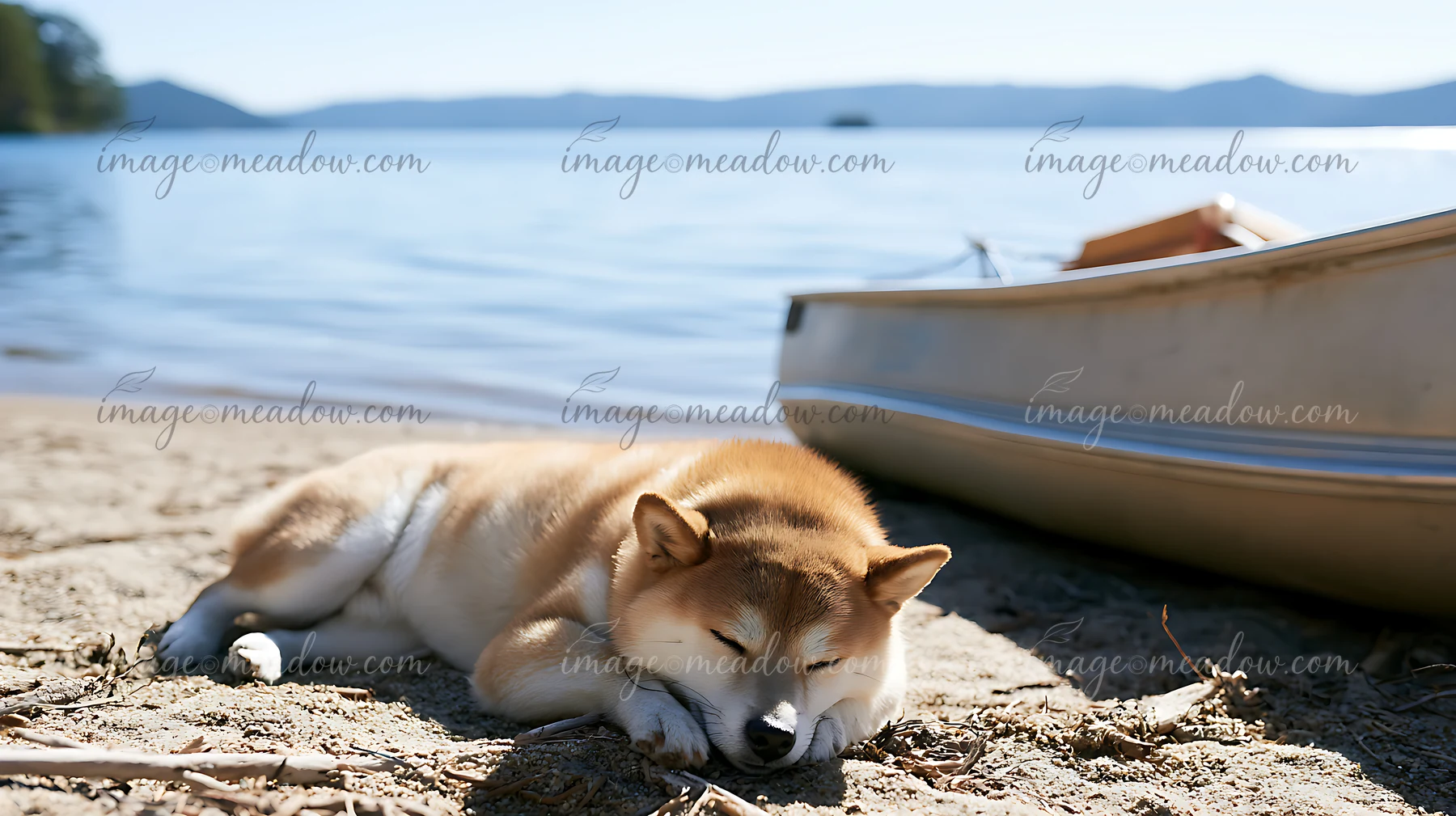 A shiba inu lays on the sand next to a paddle boat beside a lake.