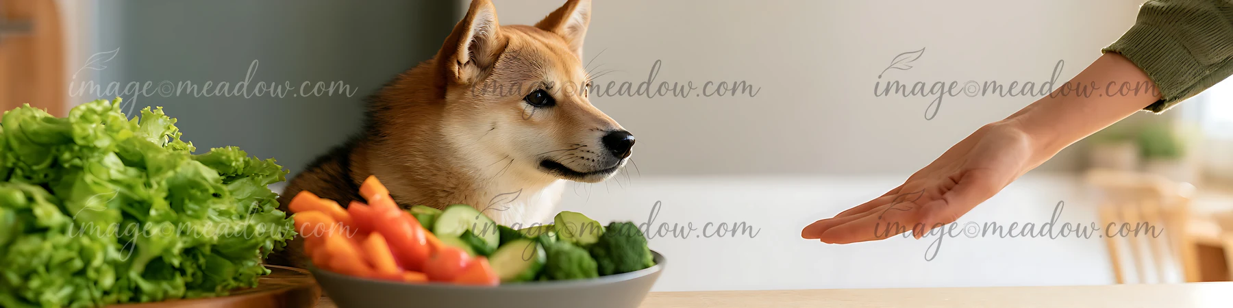 A shiba inu sits beside a bowl filled with fresh vegetables in a kitchen.