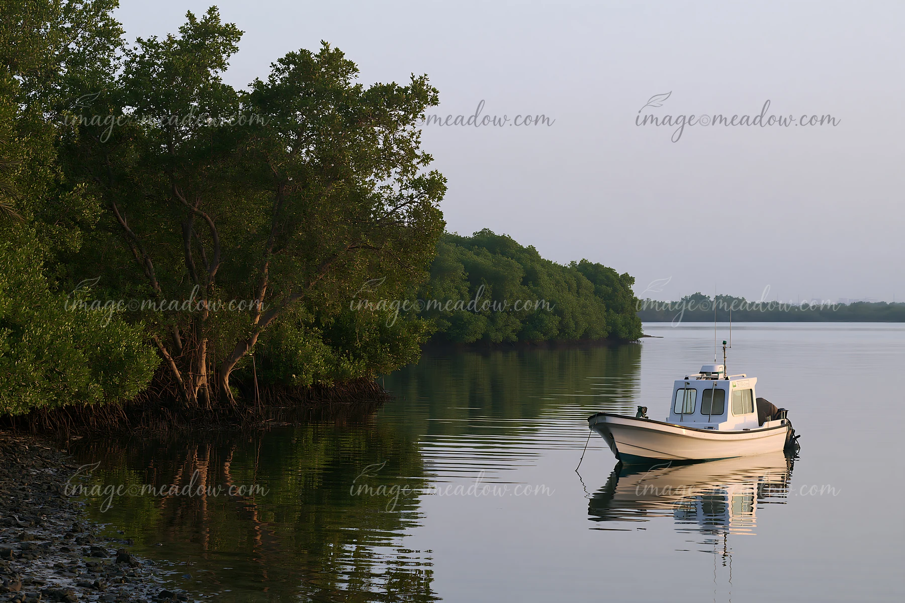 A small boat floats in still water near a lush coastline with protected marine habitat.