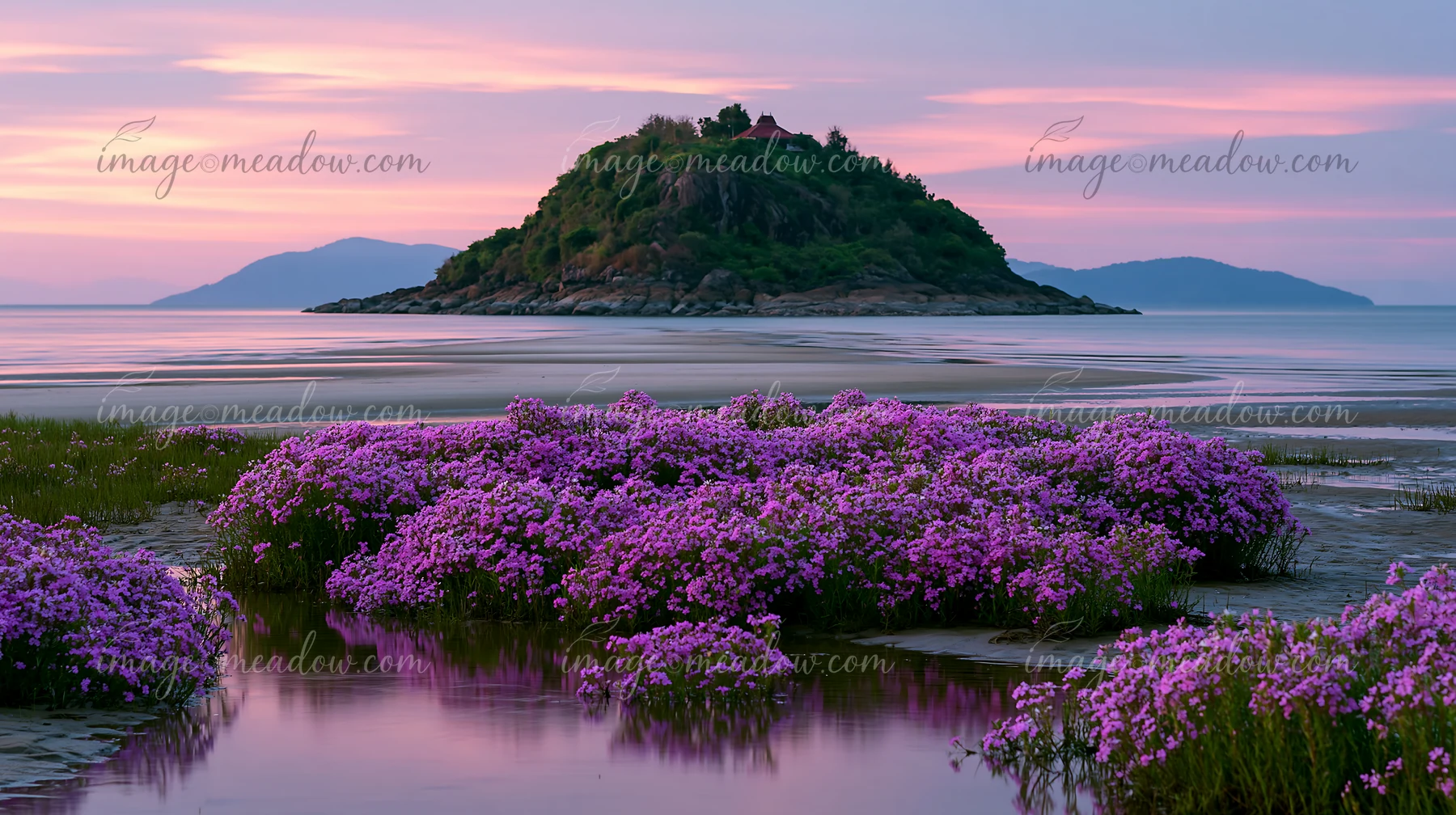 A small island stands in calm waters, framed by pink flowers blooming on the shore.