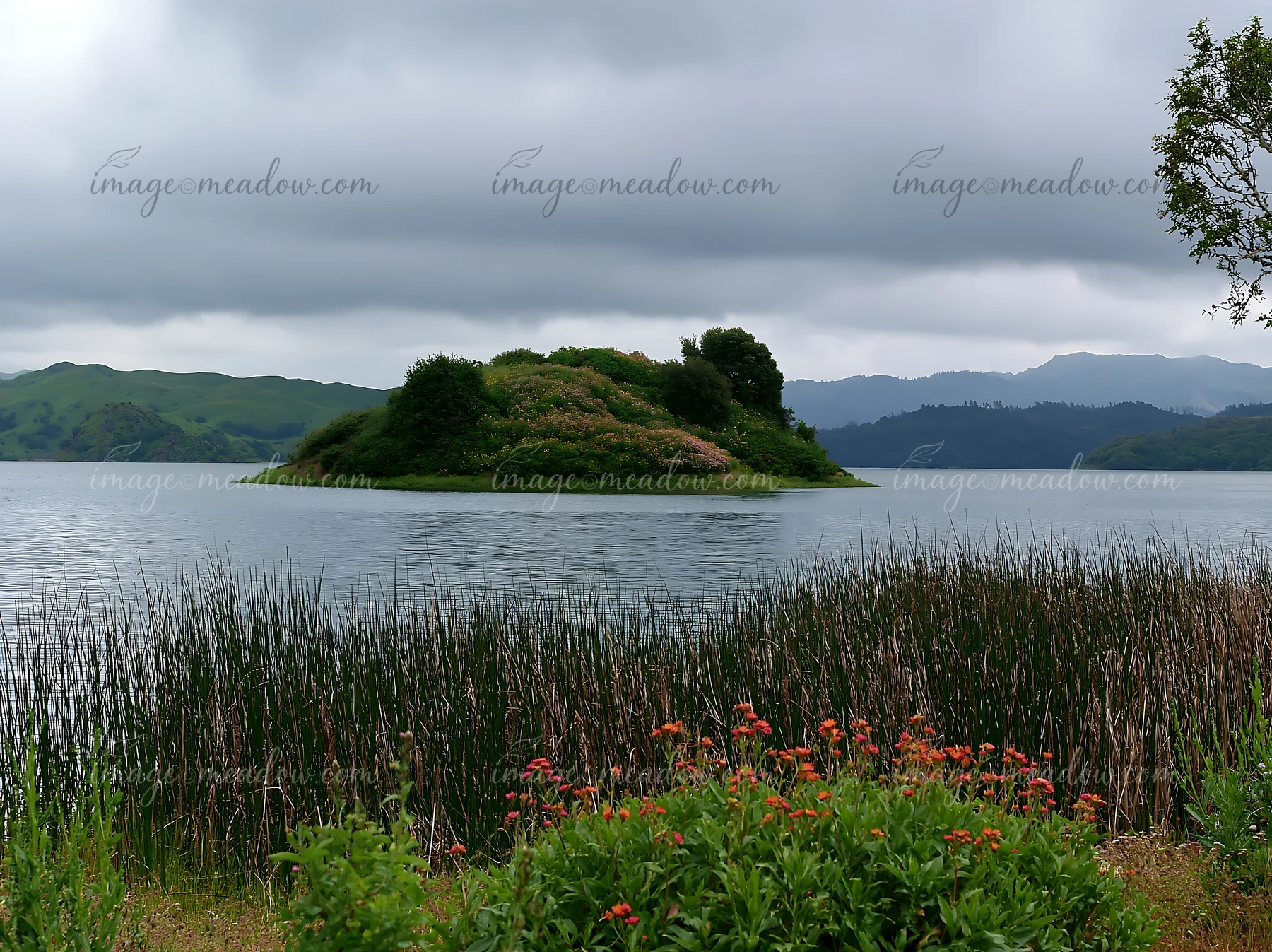 A small island with green plants and flowers is seen in a lake surrounded by calm water under a cloudy sky.