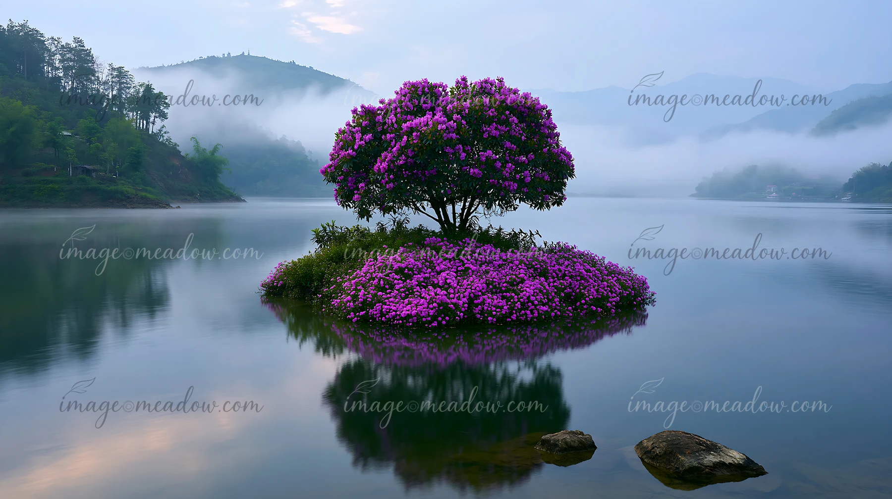 A small island with vibrant flowers sits in still water, shrouded by morning mist.