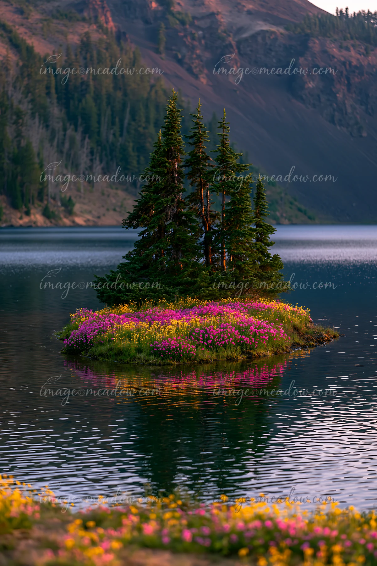 A small island with vibrant flowers surrounds tall trees in a calm lake.