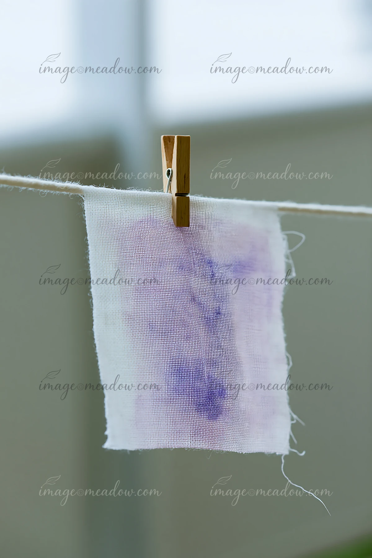 A small piece of muslin fabric with a watercolor stain in purple hangs on a clothesline.