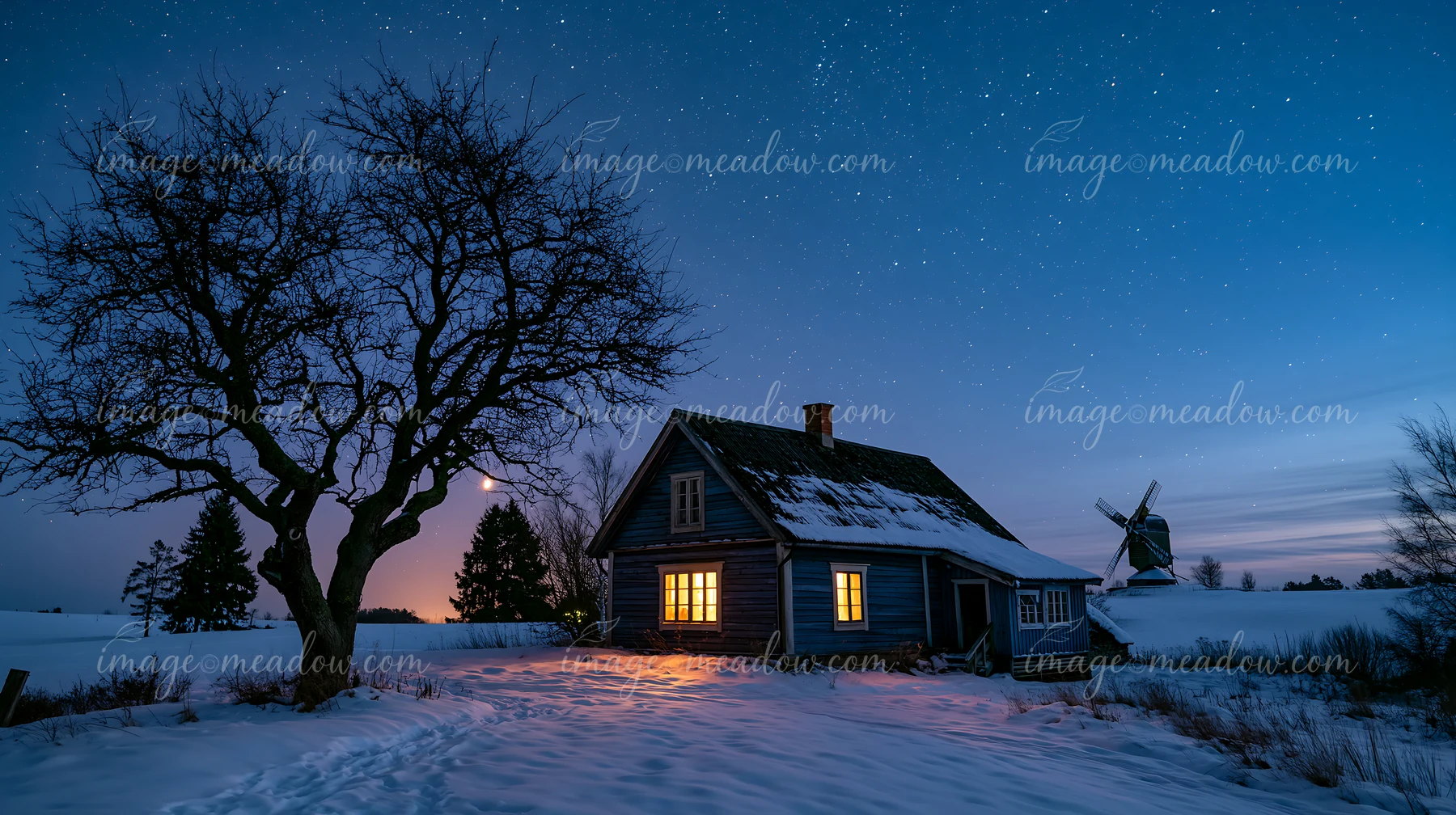 A snowy house stands under a starry sky at night.