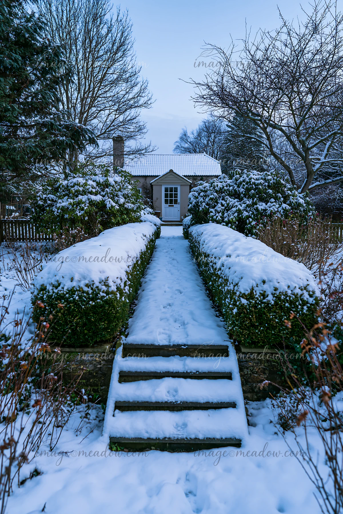 A snowy path leads to a farmhouse surrounded by green bushes and trees.