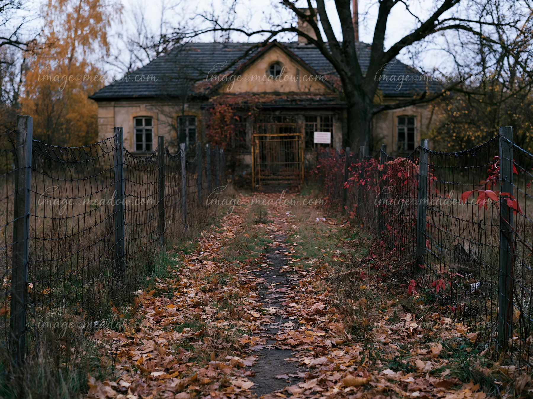 A Soviet abandoned building stands at the end of a path covered with autumn leaves, surrounded by a wire fence and trees, showing signs of decay and neglect.