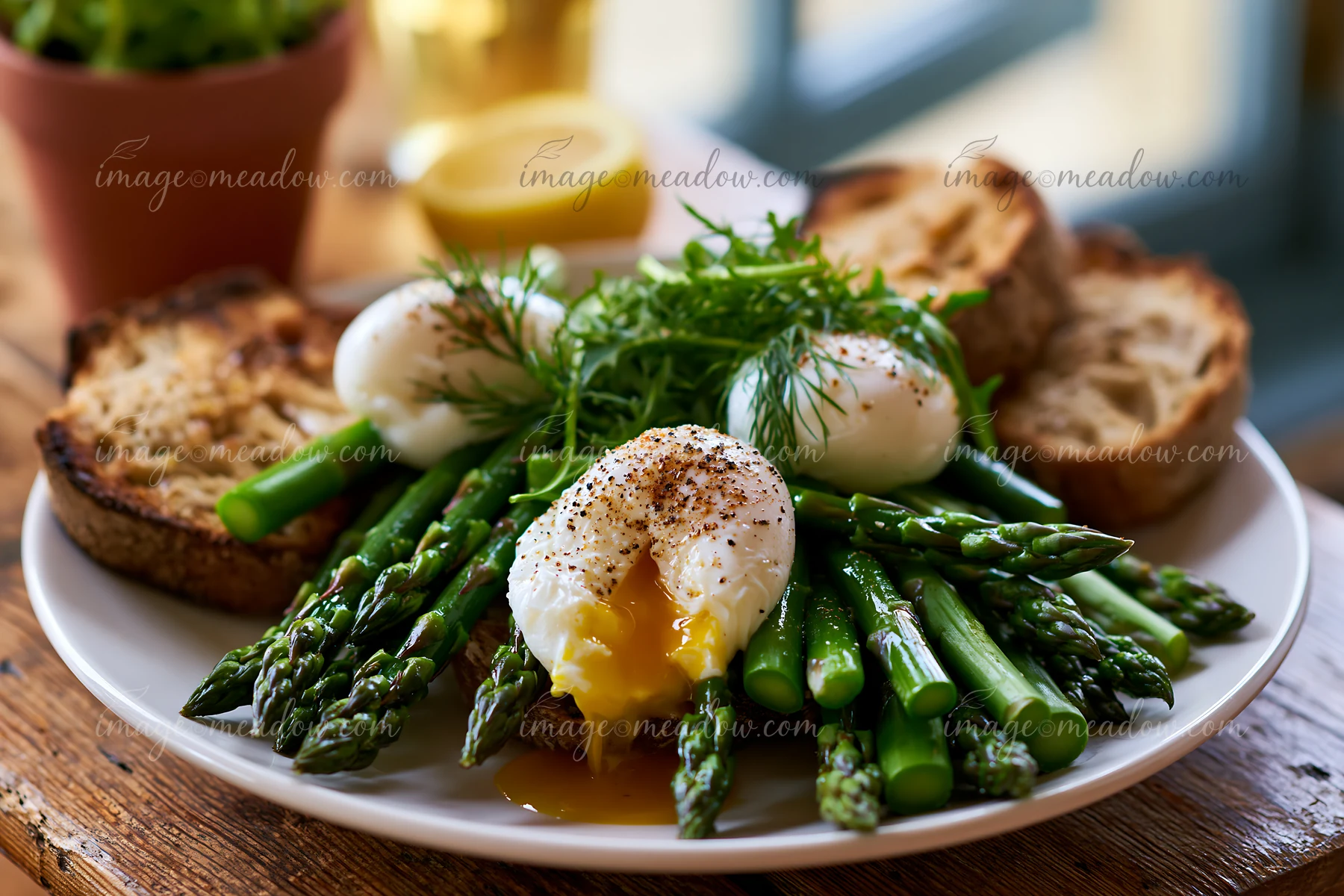 A spring breakfast plate features poached eggs on a bed of asparagus with toasted bread.