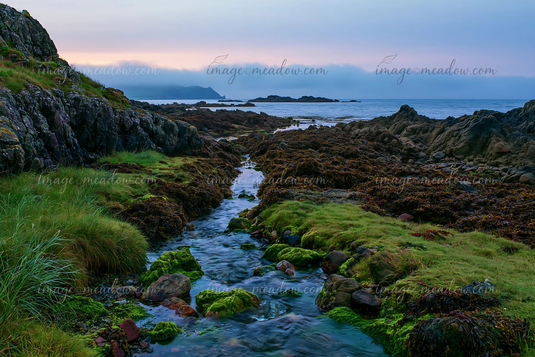 A stream flows through green moss and rocks near the coastline with exposed rocks.