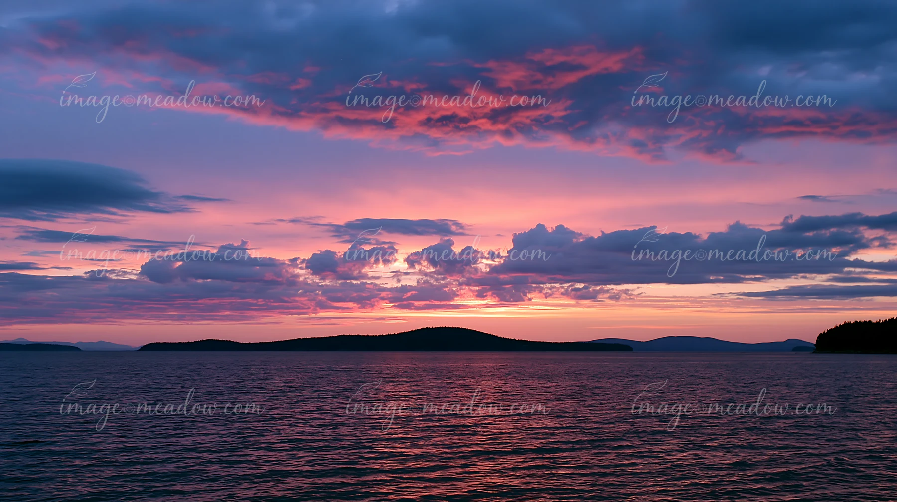 A sunset casts shades of pink and purple over a distant island with flowers, reflecting on the water.