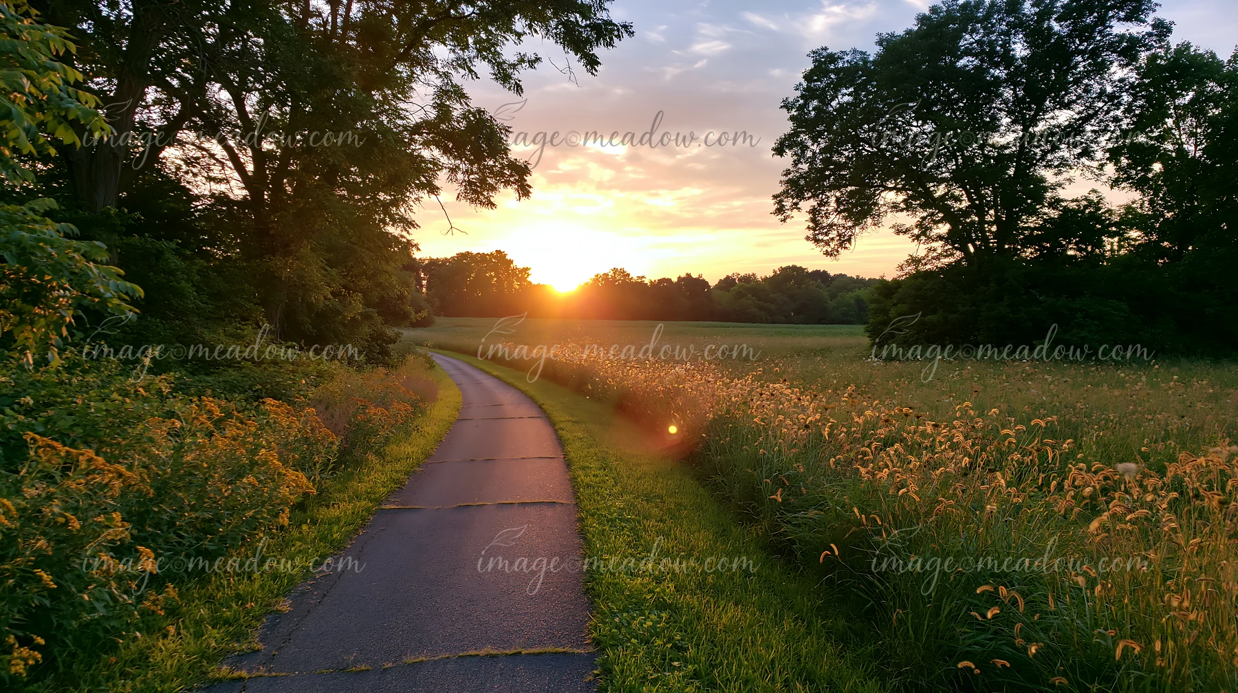 A sunset lights up a meadow beside a rural road, creating a warm glow.