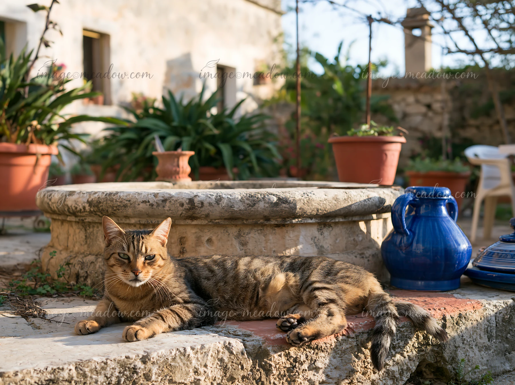 A tabby cat rests on the stone edge of a well in a farmhouse courtyard.