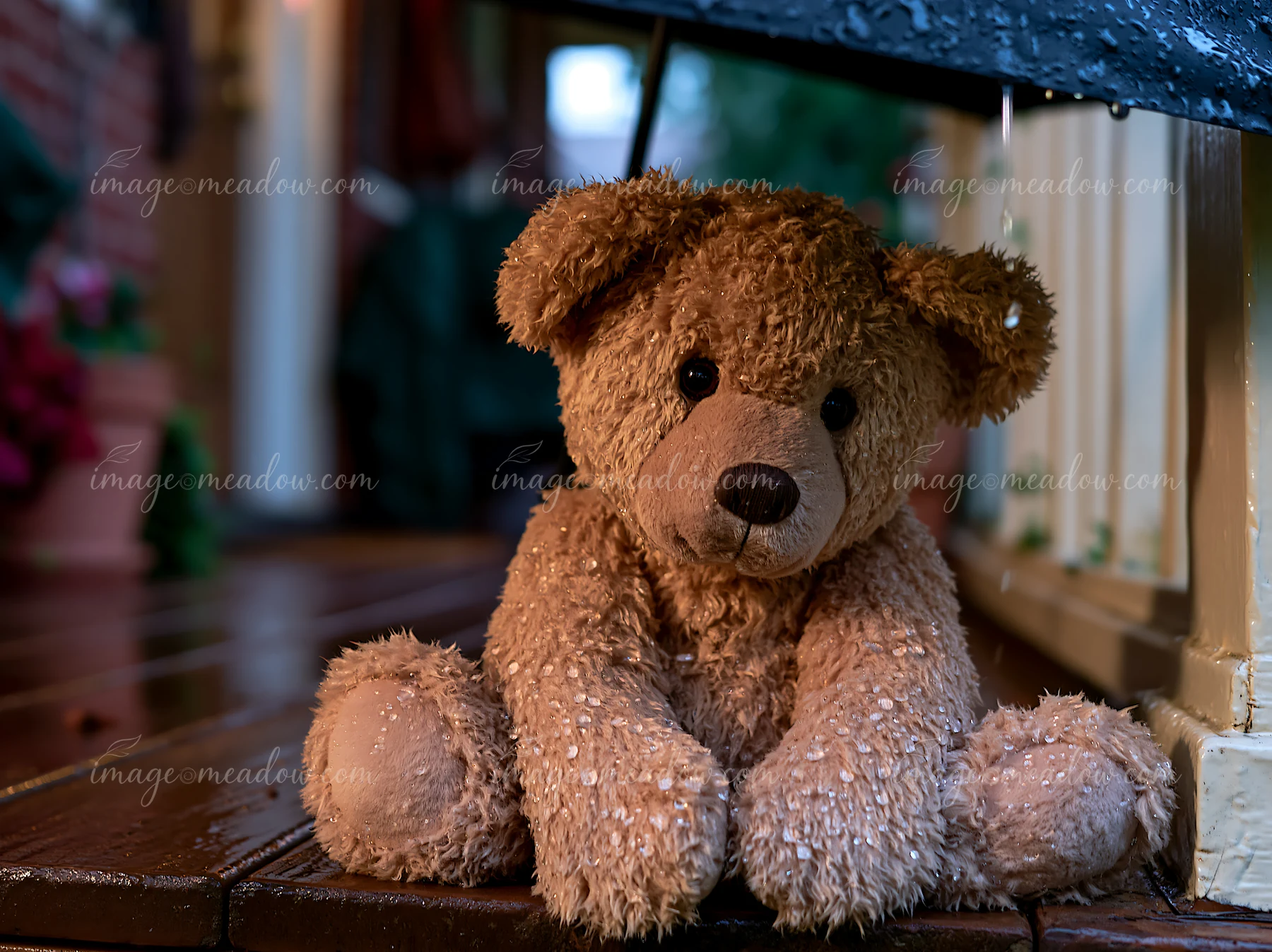 A teddy bear covered in water droplets outdoors sits on a deck near a porch.