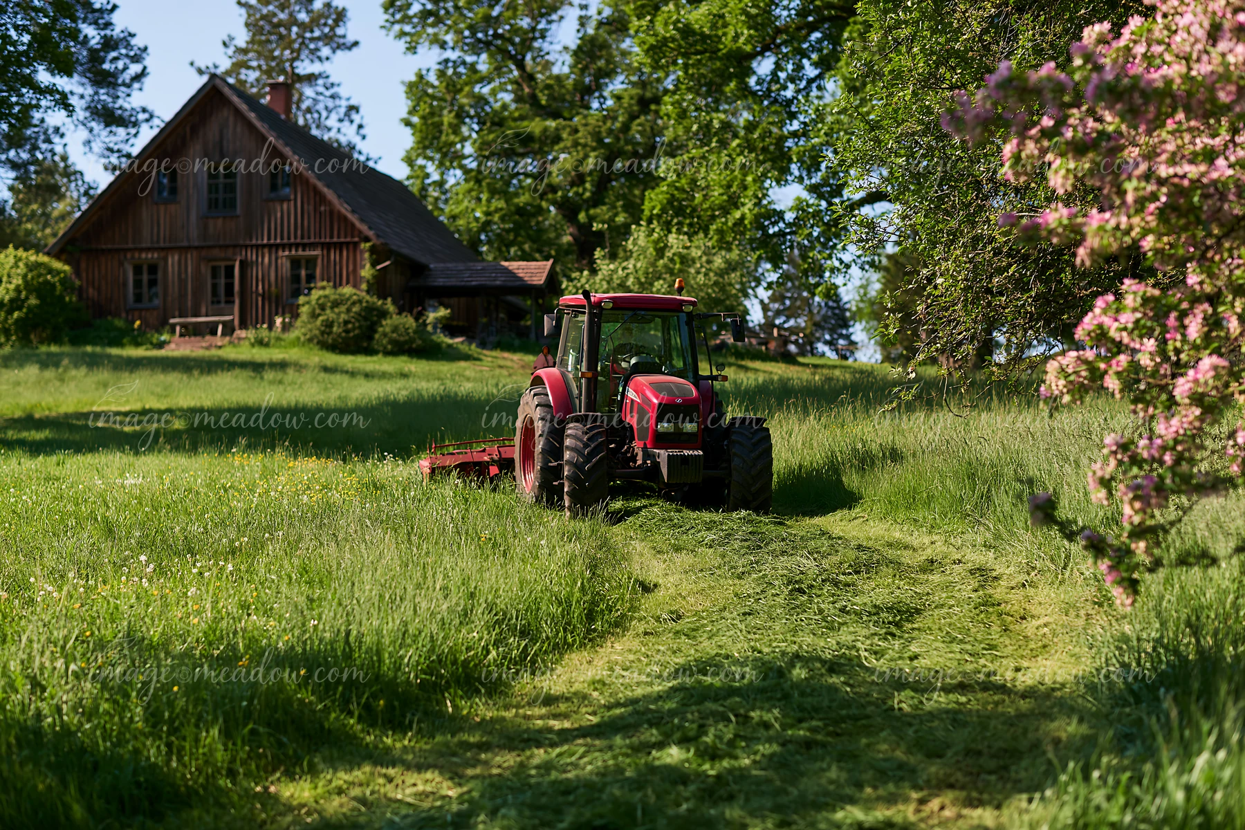 A tractor is mowing a lush green meadow next to a wooden house surrounded by trees and flowers.