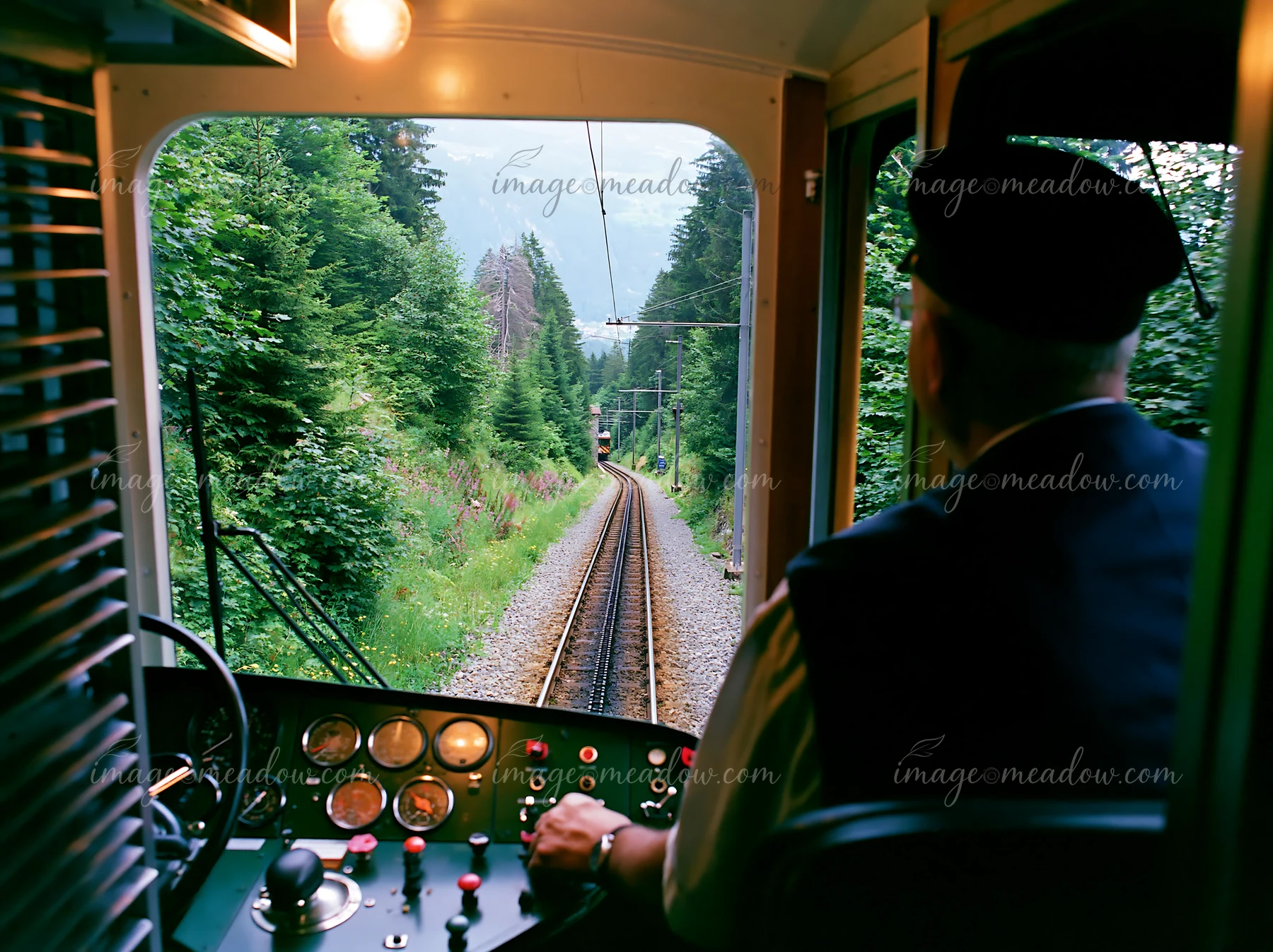 A train driver operates a Swiss cog railway on a scenic route surrounded by trees and mountains.