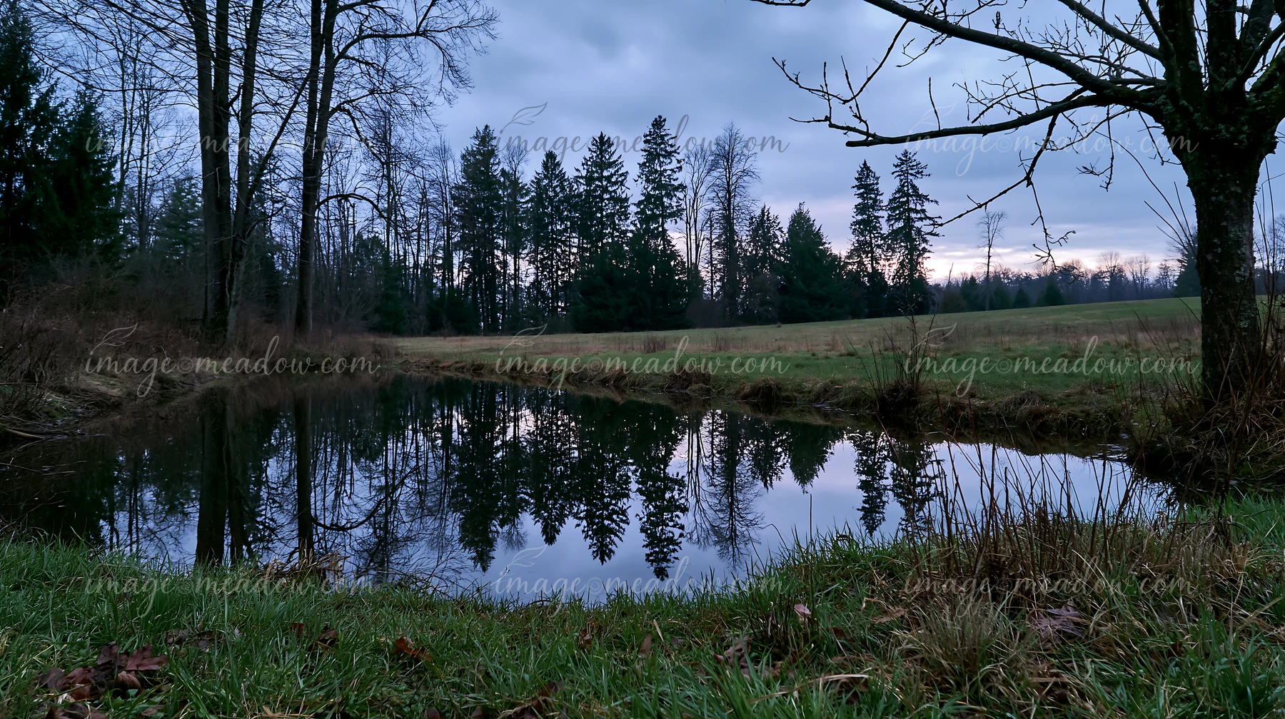 A tree line bordering a meadow is seen alongside a calm pond.