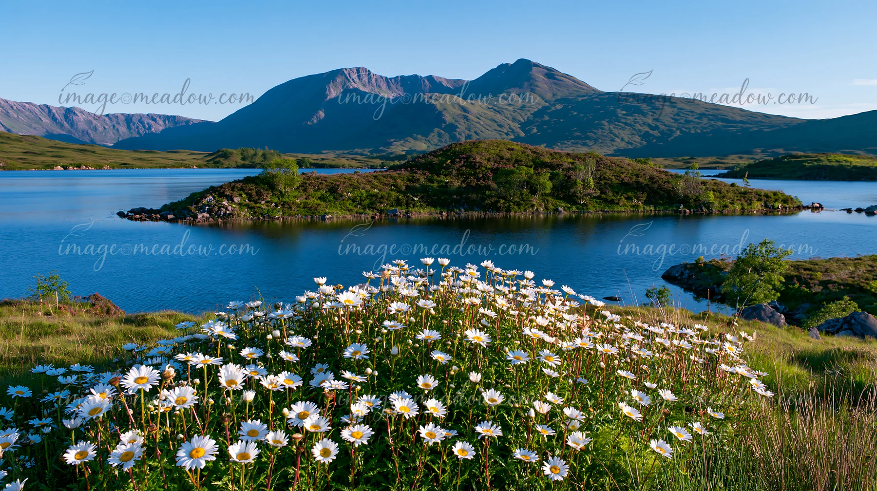 A vibrant display of flowers is seen in the foreground, while a calm lake and mountains create a scenic backdrop.