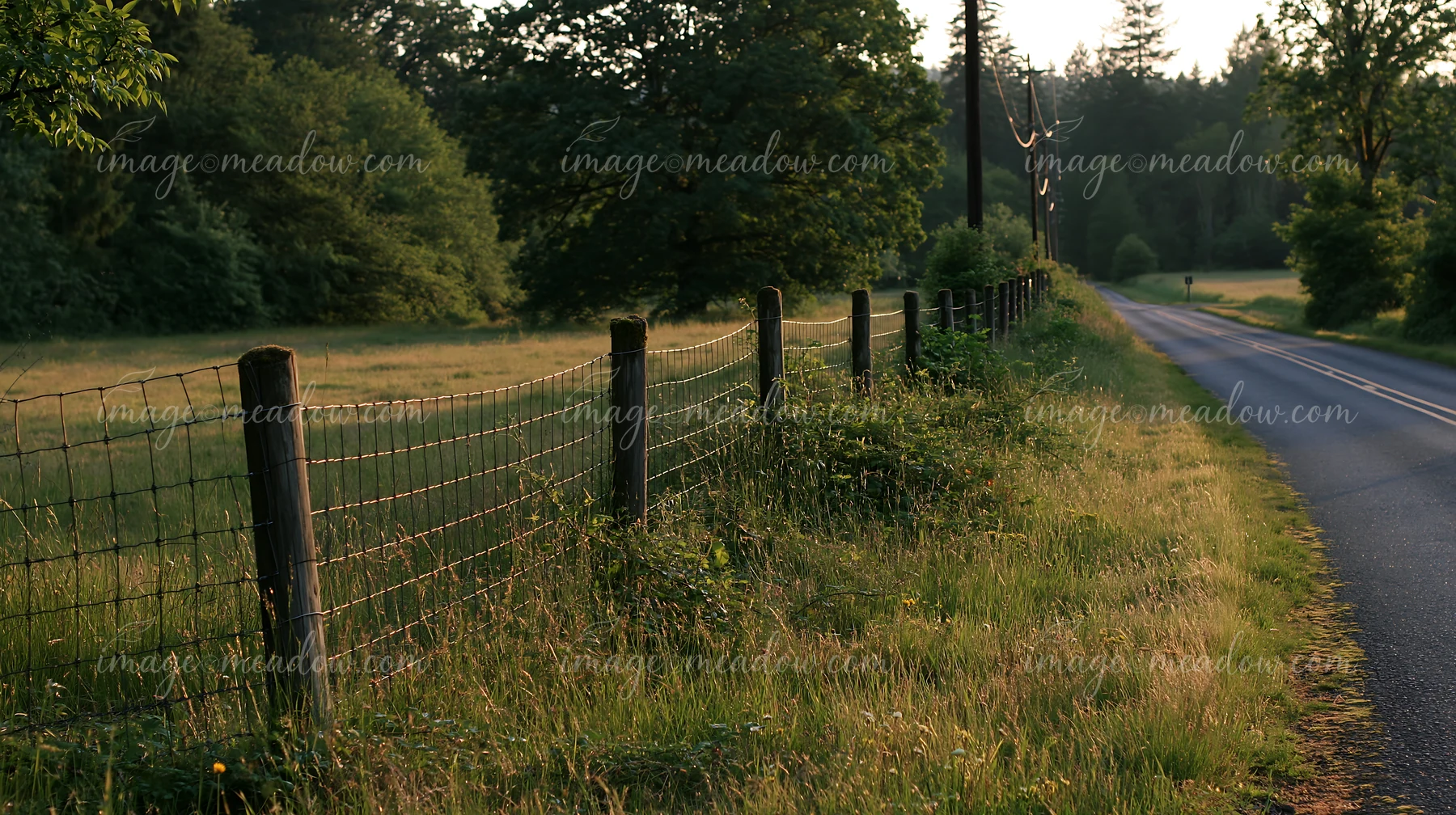 A view shows a meadow beside a rural road with a fence line.